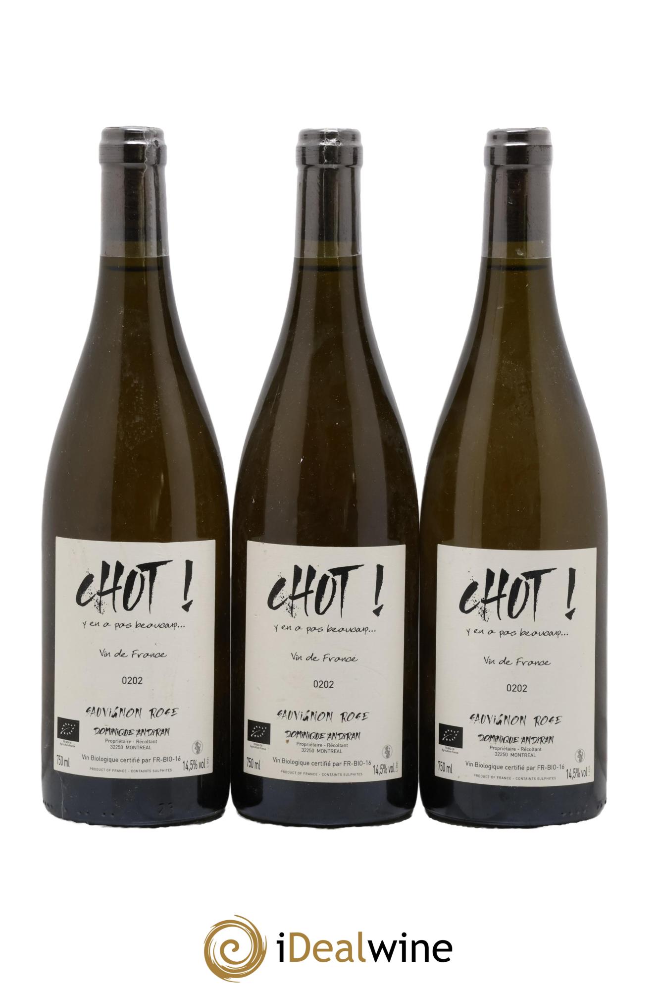 Vin de France Chut ! Y en a pas beaucoup... Dominique Andiran 2020 - Lotto di 3 bottiglie - 0