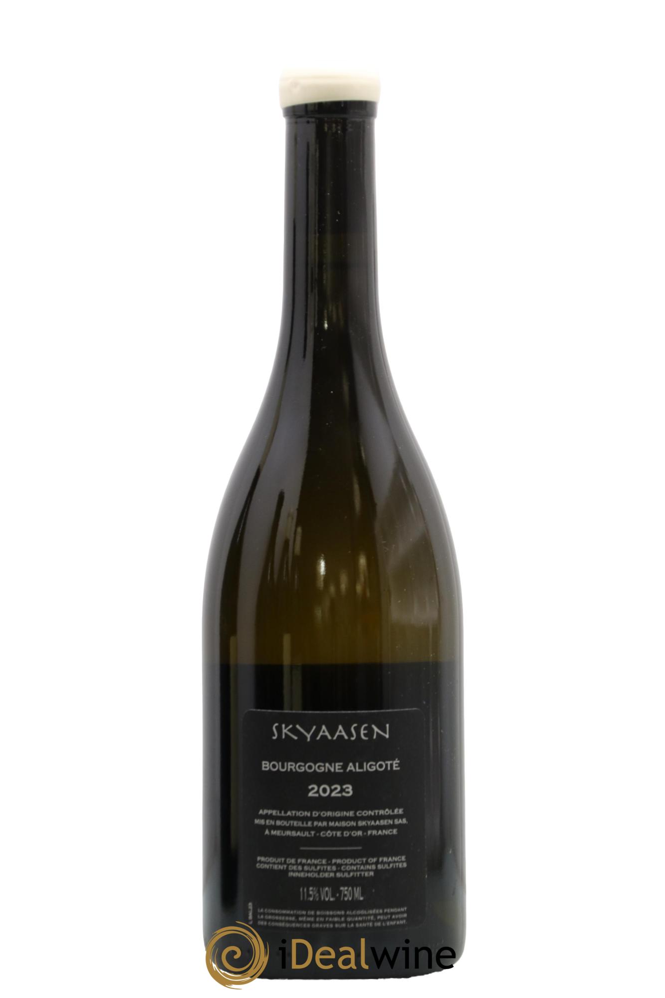 Bourgogne Aligoté Maison Skyaasen 2023 - Lot of 1 bottle - 1
