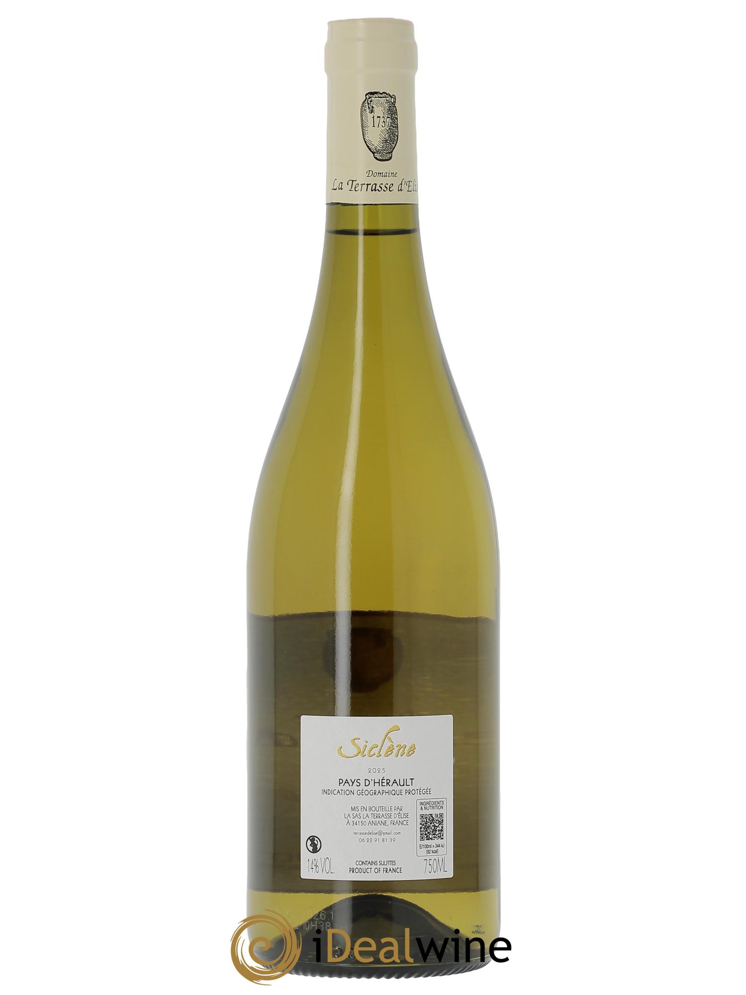 Pays d'Hérault Siclène Terrasse d'Elise (Domaine de la)  2025 - Lot de 1 bouteille - 1
