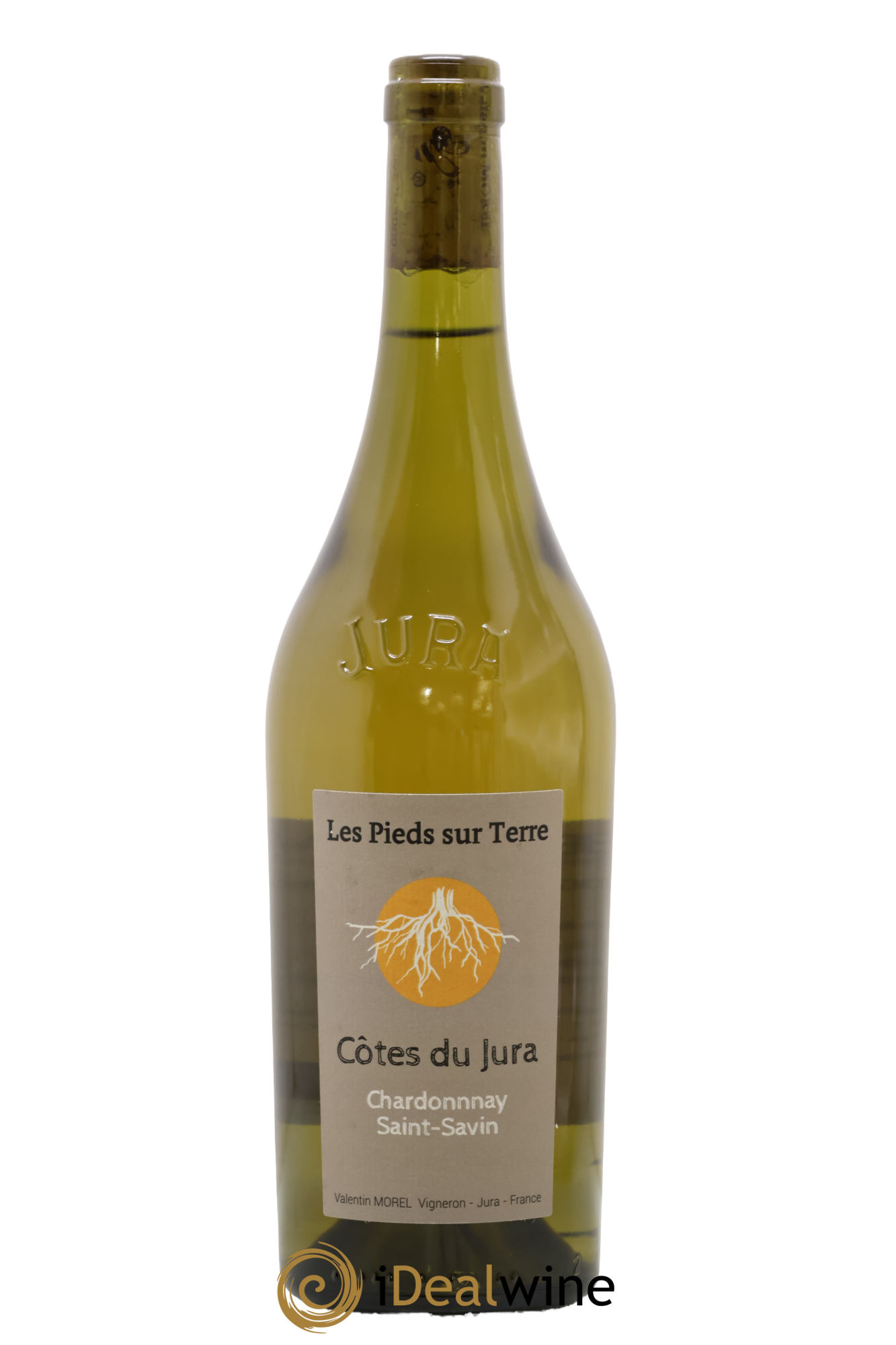 Côtes du Jura Chardonnay Saint-Savin Valentin Morel 2022 - Posten von 1 Flasche - 0