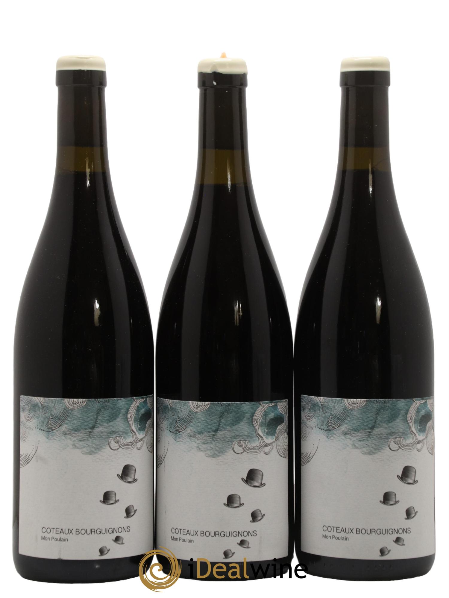 Coteaux Bourguignons Mon Poulain Les Horées 2022 - Lot de 3 bouteilles - 0