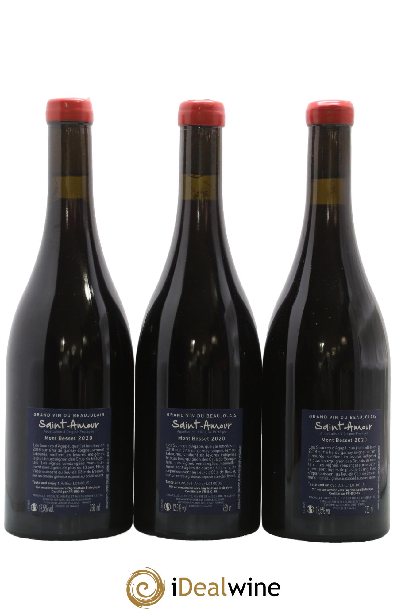 Saint-Amour Mont Besset Les Sources d'Agapé Arthur Lotrous 2020 - Posten von 3 Flaschen - 1
