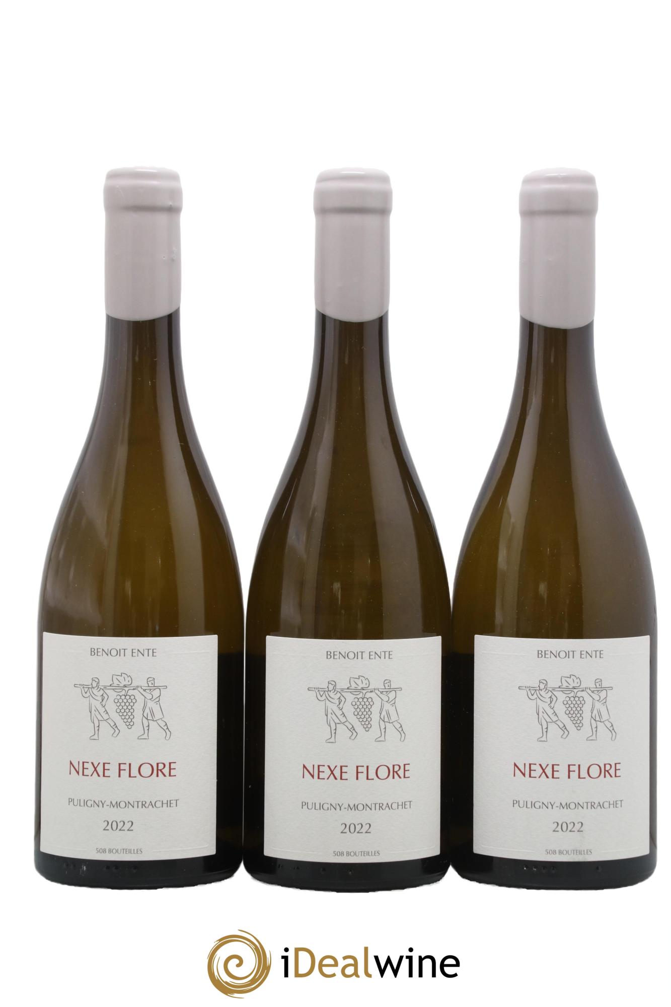 Puligny-Montrachet Nexe Flore Benoit Ente 2022 - Lot of 3 bottles - 0