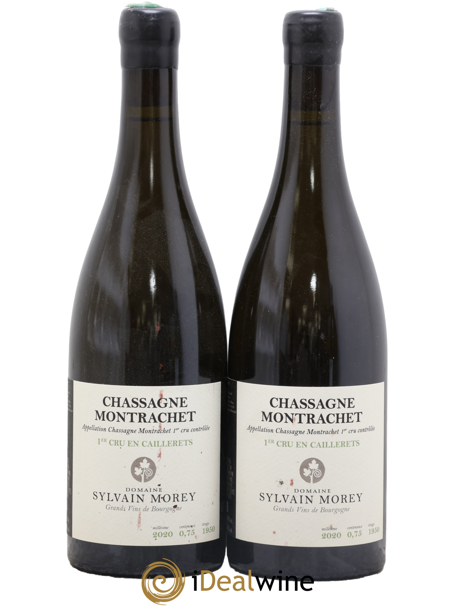 Chassagne-Montrachet 1er Cru En Caillerets Sylvain Morey 2020 - Lot de 2 bouteilles - 0
