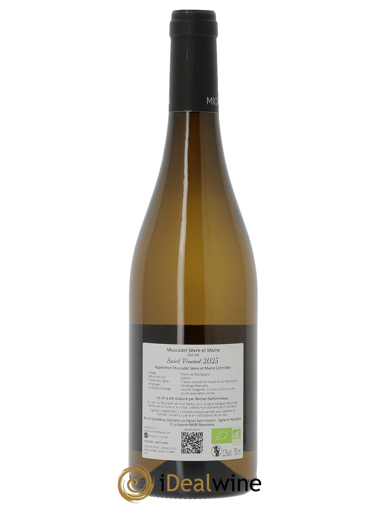 Muscadet-Sèvre-et-Maine sur lie Saint Vincent Michel et Matthieu Delhommeau  2025 - Lot de 1 bouteille - 1