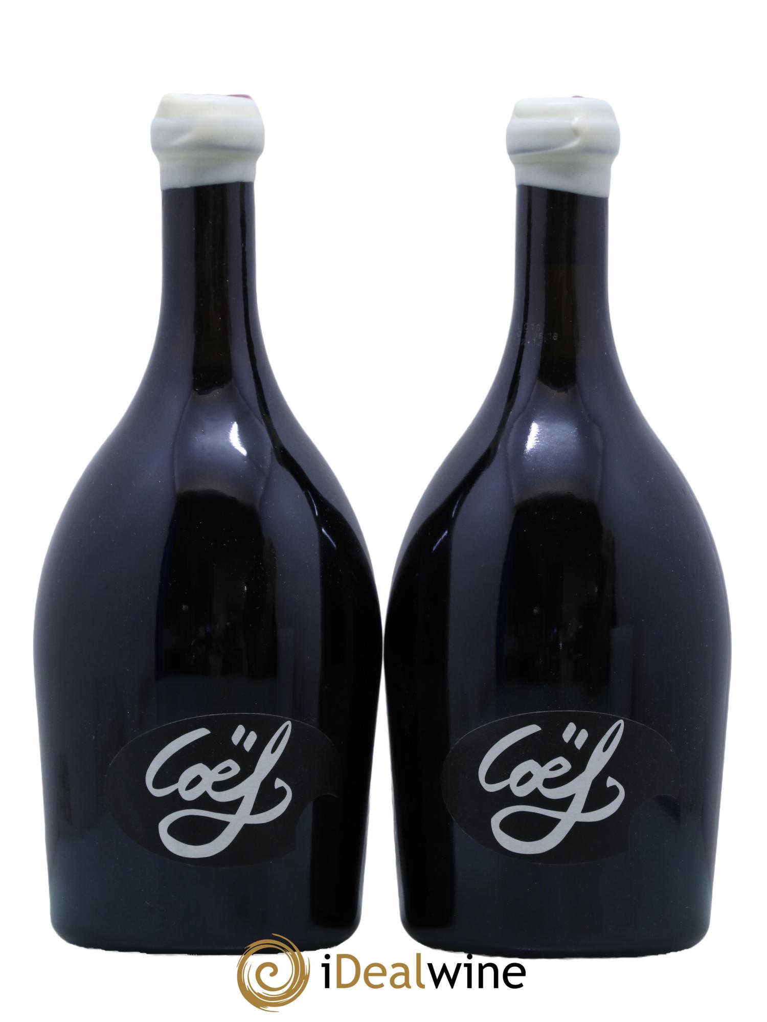 Saint-Nicolas de Bourgueil Coef Sebastien David 2016 - Lot de 2 bouteilles - 0