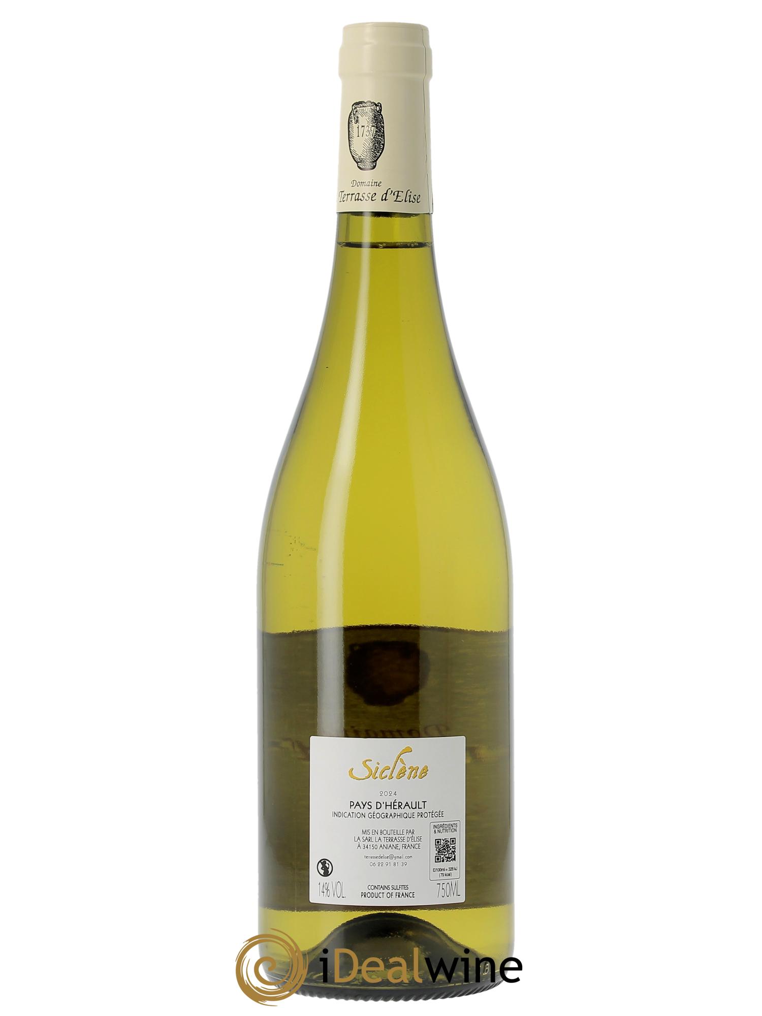 IGP Pays d'Hérault Siclène Terrasse d'Elise (Domaine de la) 2024 - Posten von 1 Flasche - 1