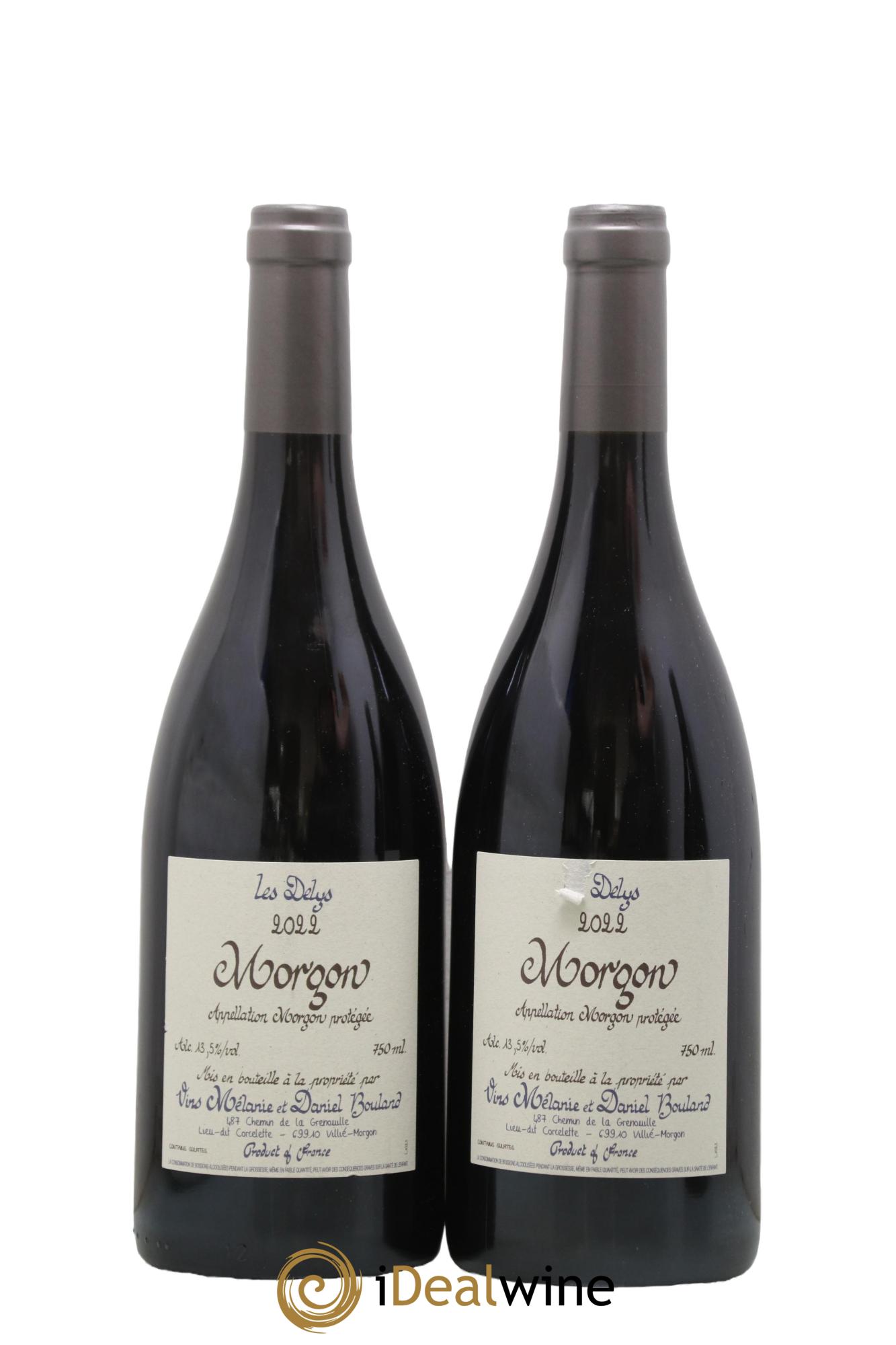 Morgon Les Delys Daniel Bouland (Domaine) 2022 - Lotto di 2 bottiglie - 0