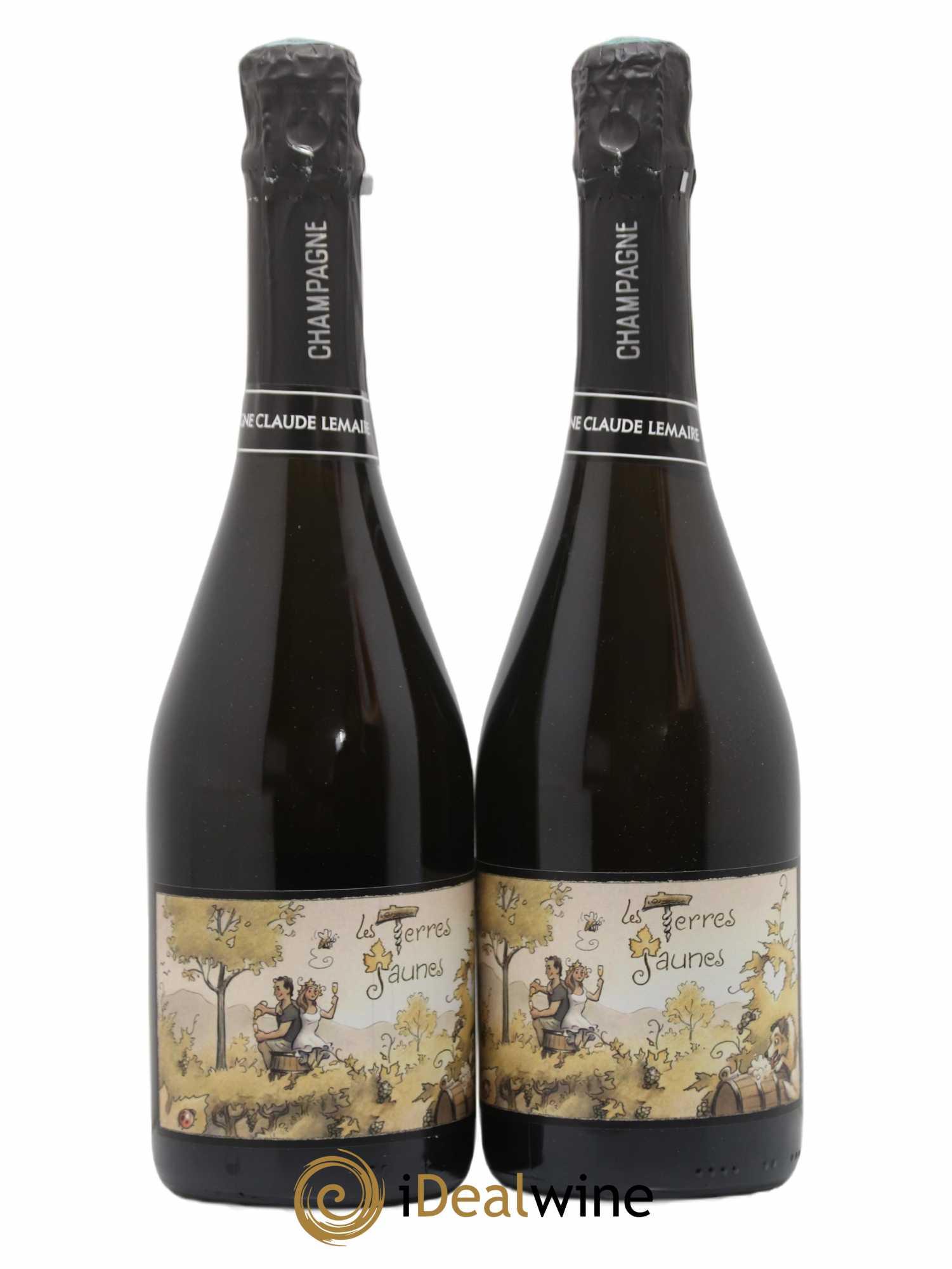 Les Terres Jaunes Aurélien Lemaire Les Terres Jaunes Aurélien Lemaire 2019 - Lot de 2 bouteilles - 0