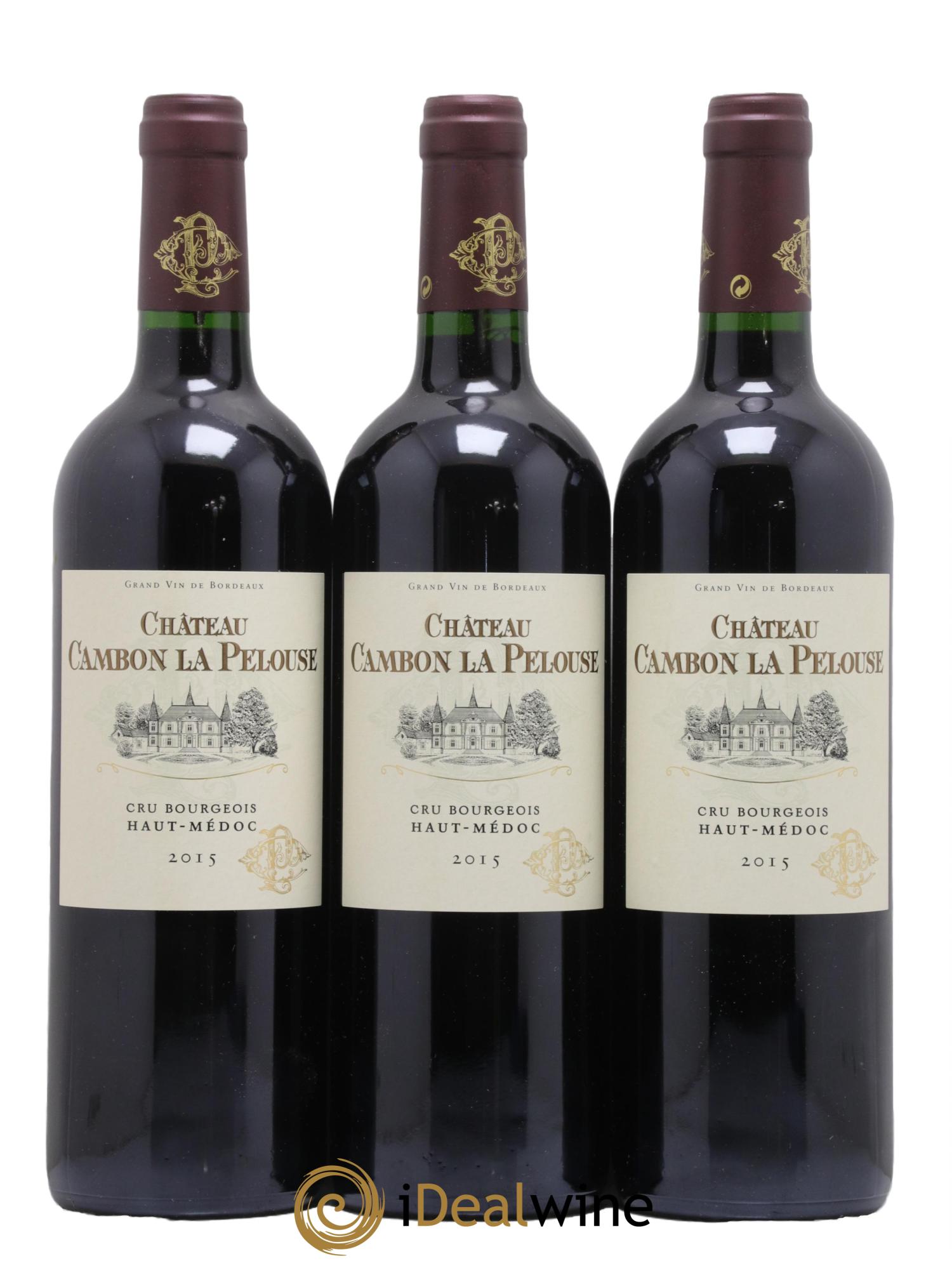 Château Cambon la Pelouse Cru Bourgeois 2015 - Lot de 12 bouteilles - 4