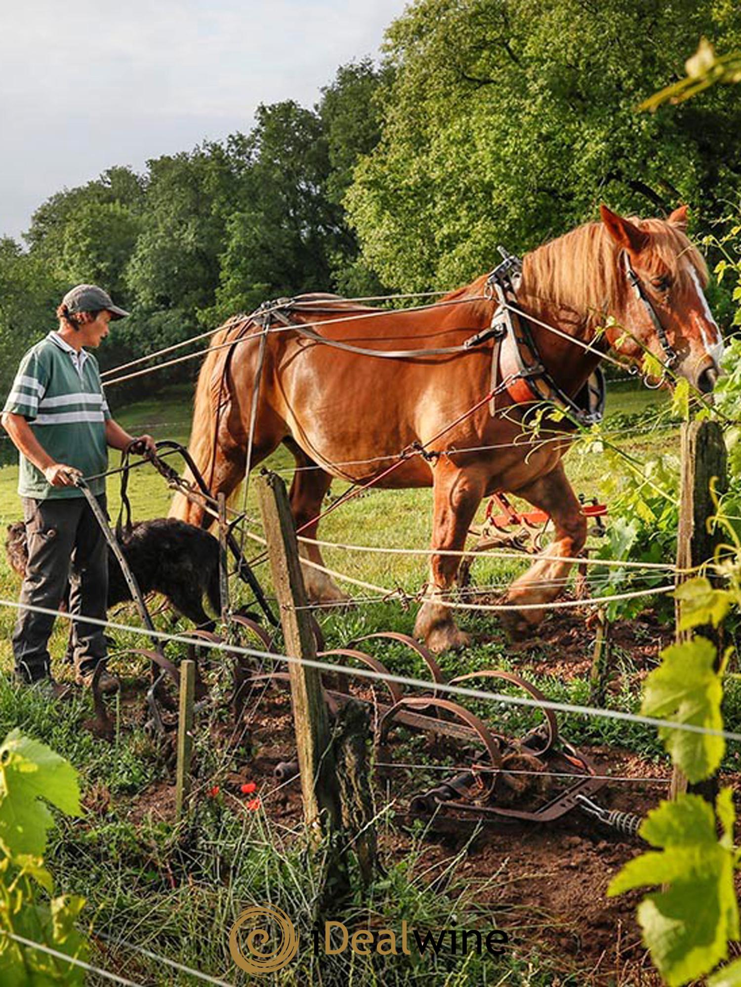 Dîner iDealwine x Château Le Puy au restaurant FIEF* (à Paris, le 13 novembre 2024)   - Lot de 1 bouteille - 3