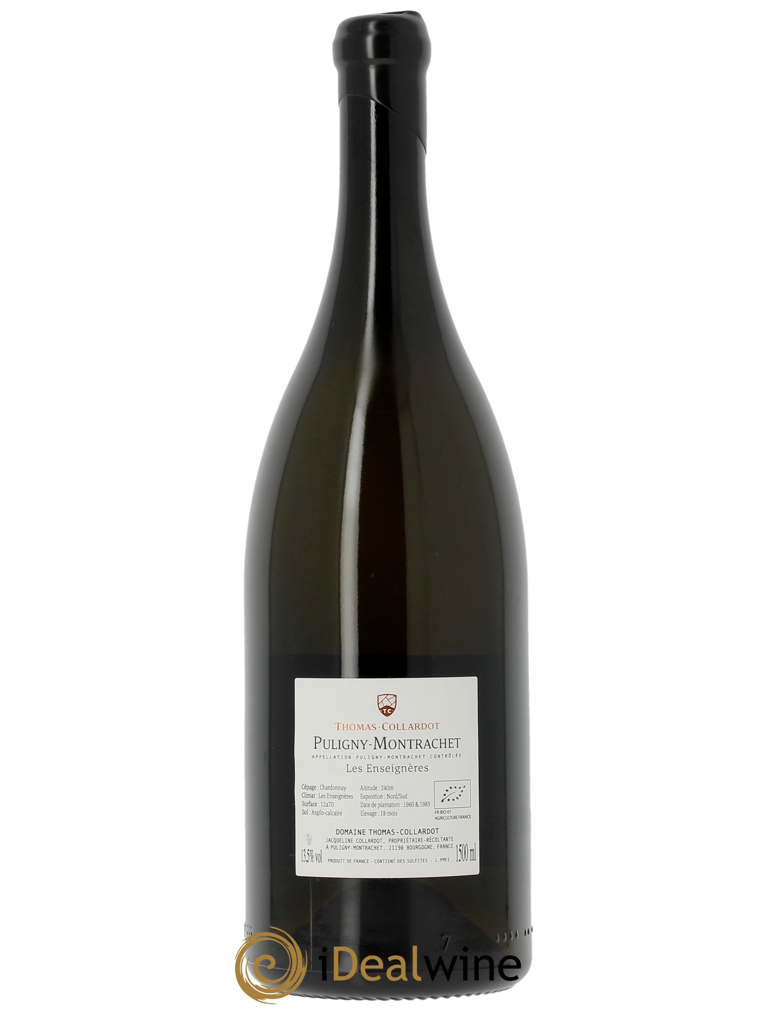 Puligny-Montrachet Les Enseignères Thomas-Collardot (Domaine)  2023 - Lotto di 1 magnum - 1
