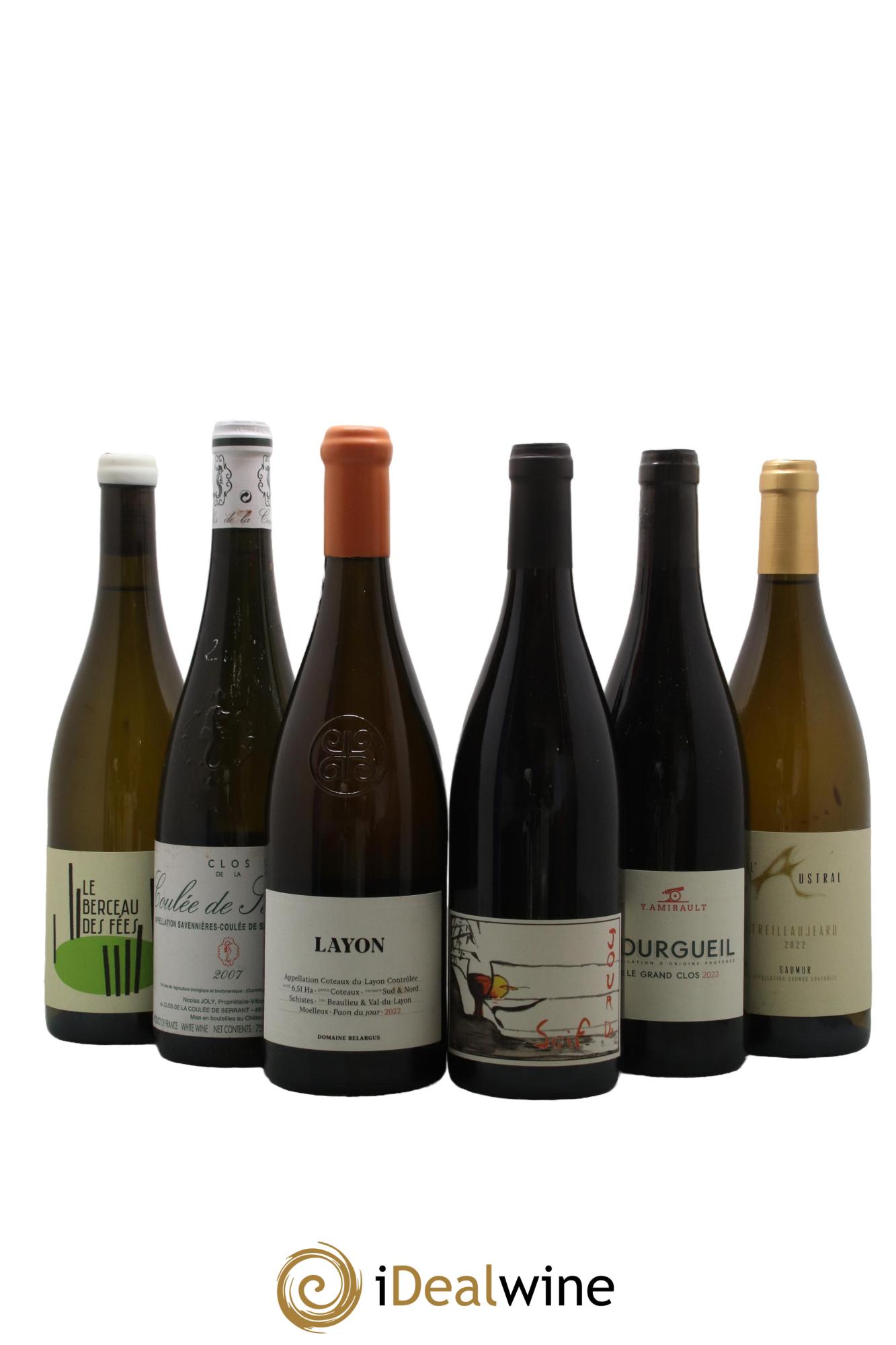 Assortiment de vins d'Anjou noir - Saumur - Bourgueil N°2 - Lot of 6 bottles - 0