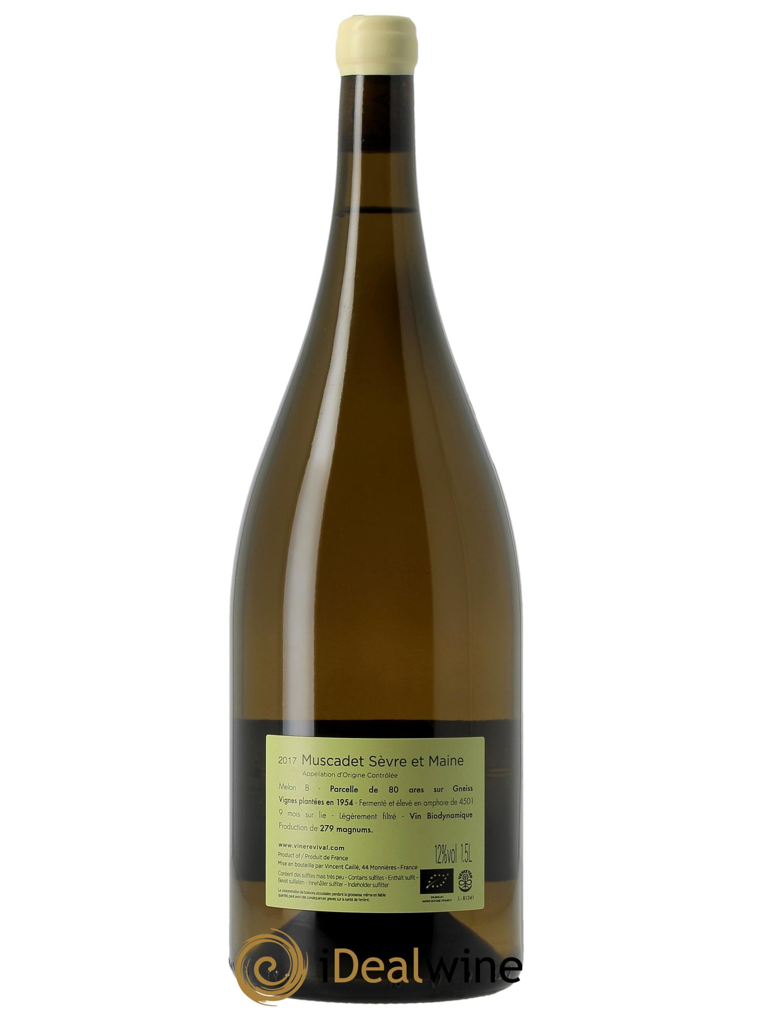 Muscadet-Sèvre-et-Maine Terre de Gneiss Le Fay d'Homme 2017 - Lot of 1 magnum - 1