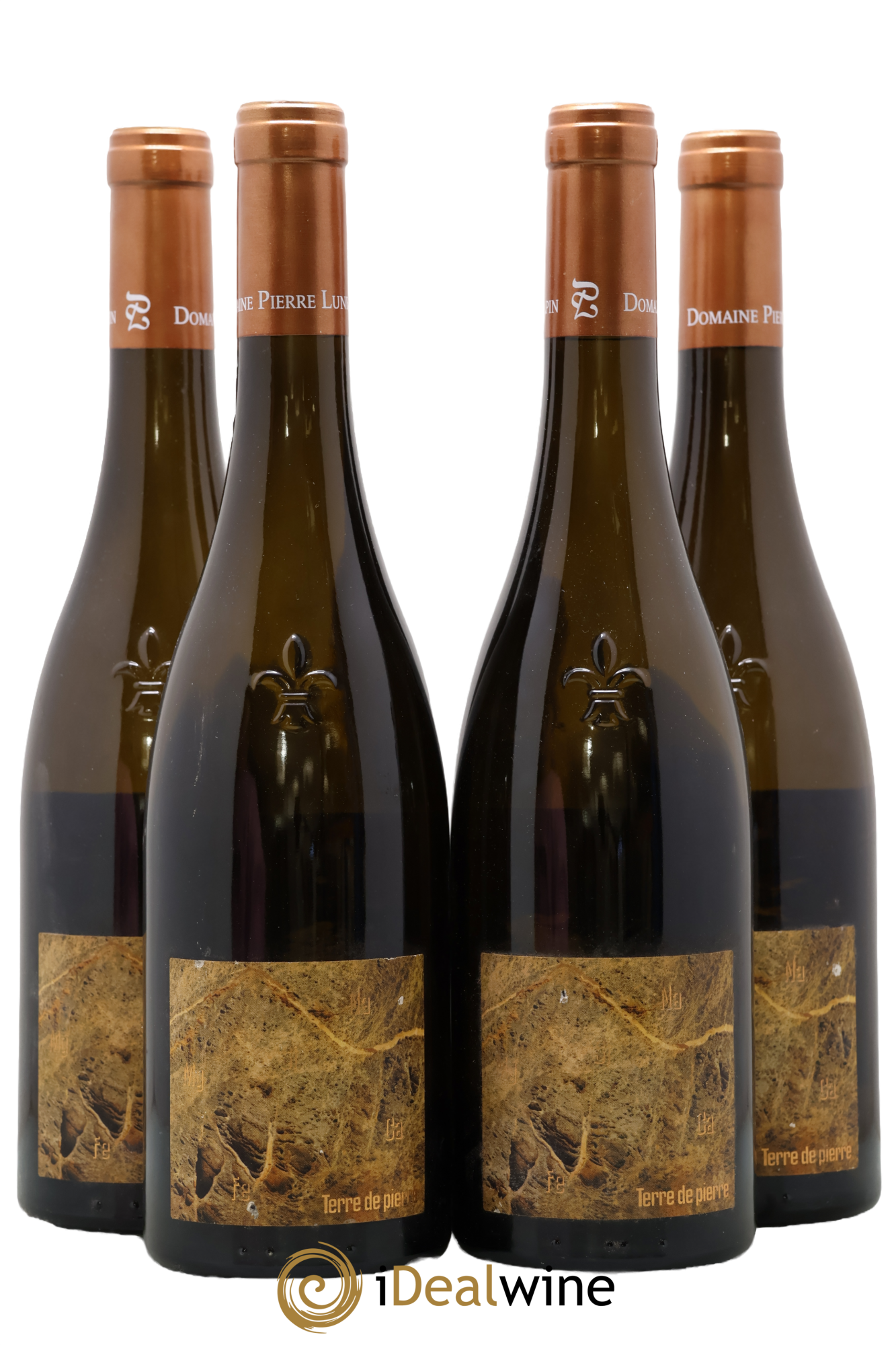 Muscadet-Sèvre-et-Maine sur lie Terre de Pierre Luneau-Papin 2019 - Lot de 4 bouteilles - 0