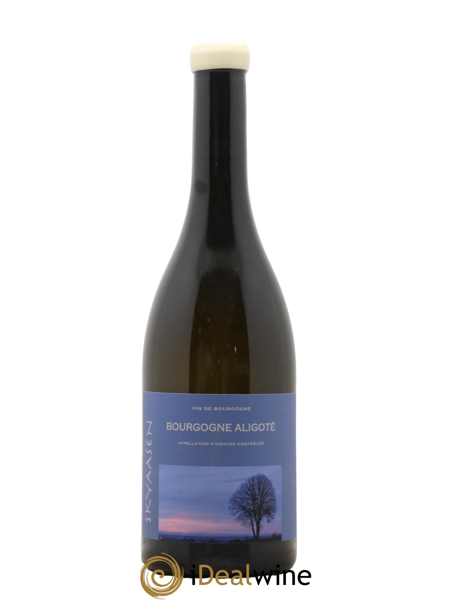Bourgogne Aligoté Maison Skyaasen 2022 - Lot de 1 bouteille - 0