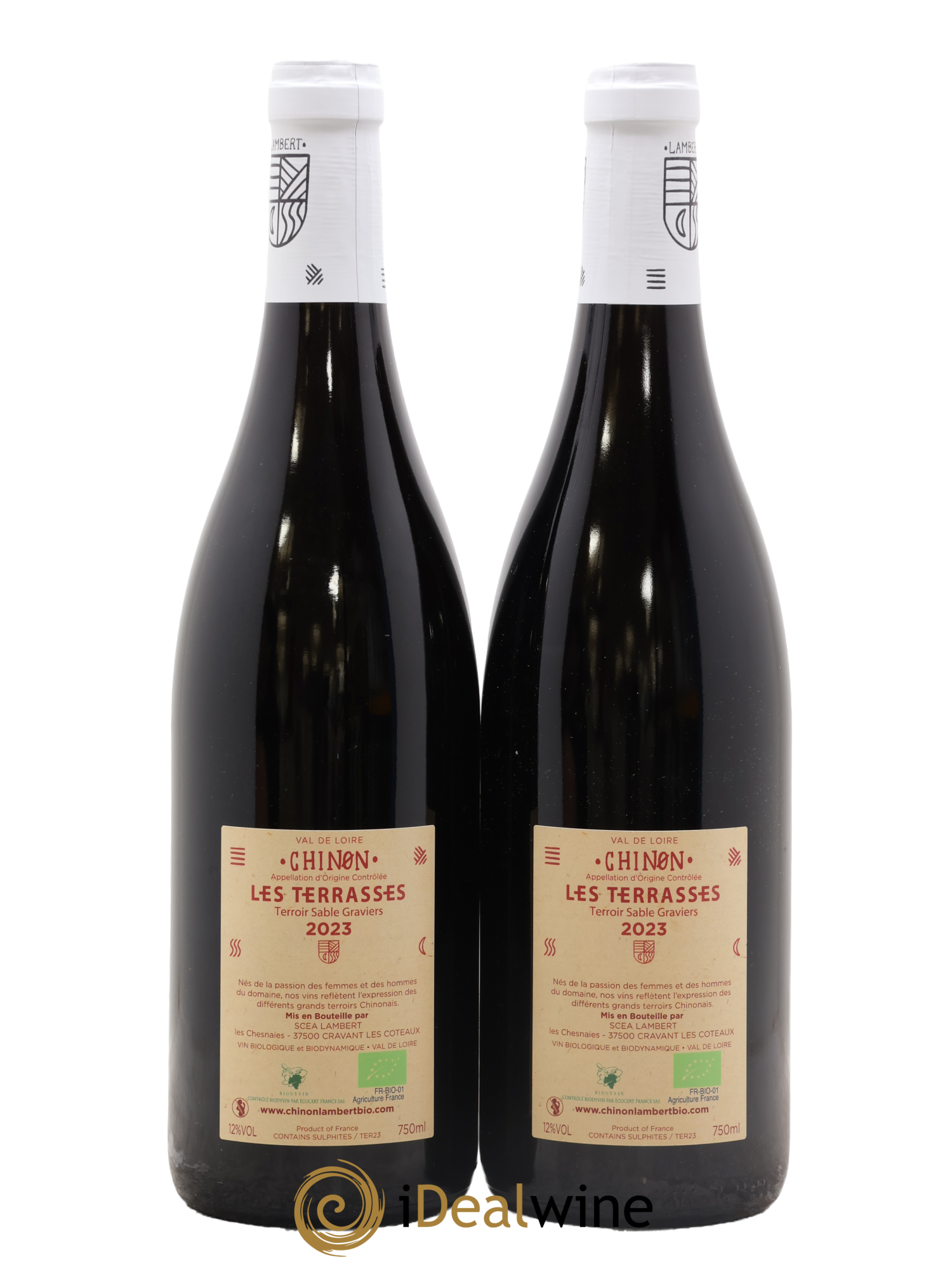 Chinon Les Terrasses Domaine Lambert 2023 - Lotto di 2 bottiglie - 1