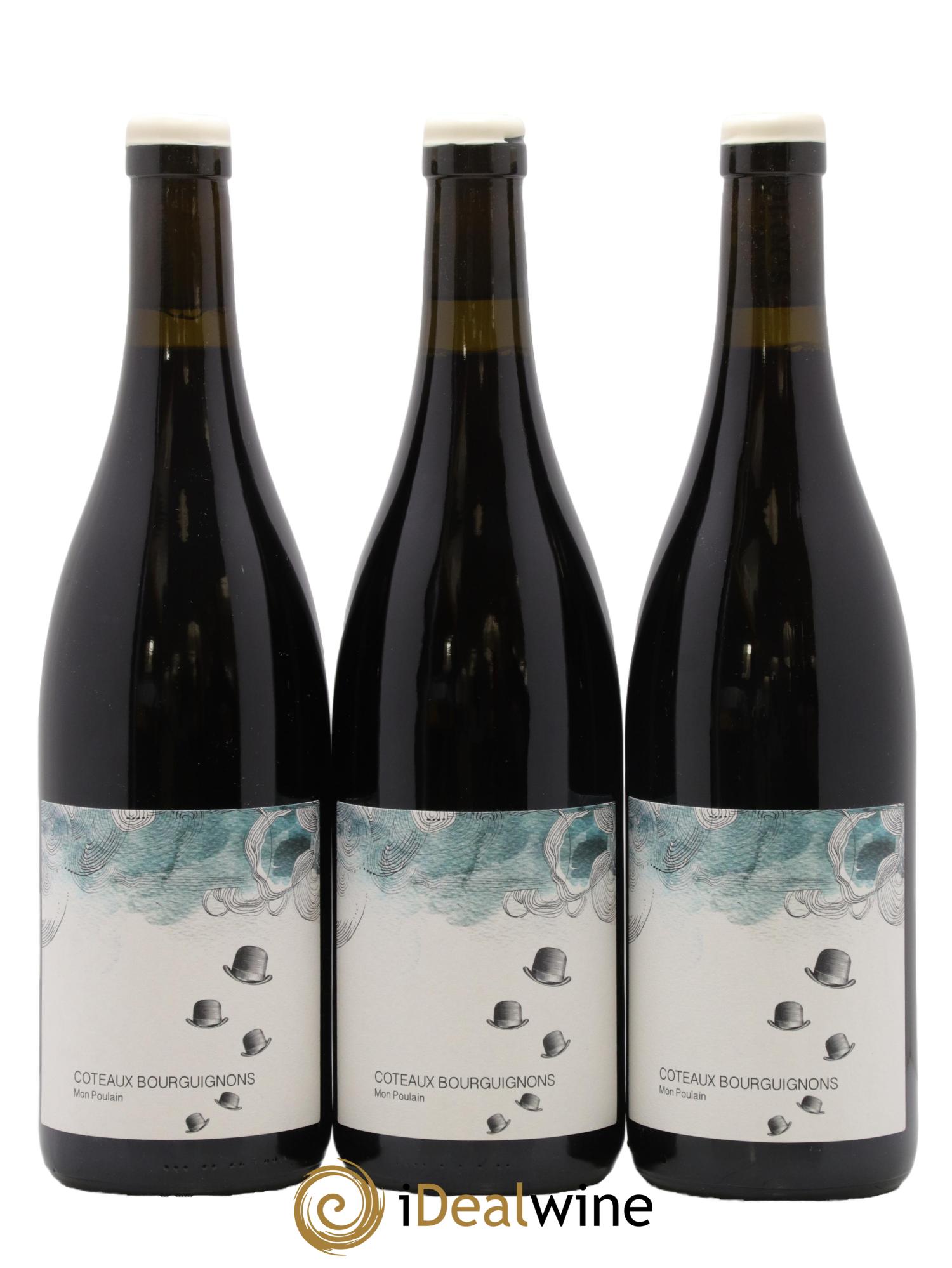 Coteaux Bourguignons Mon Poulain Les Horées 2024 - Lot de 3 bouteilles - 0