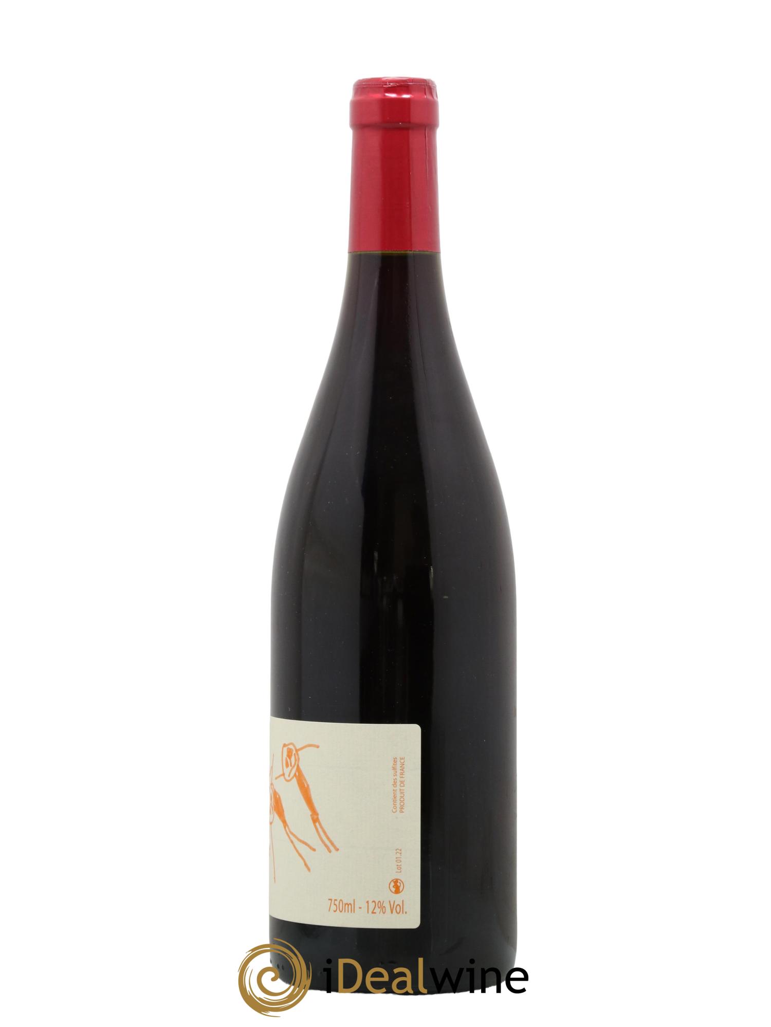 Vin de France Pinot Nwar Domaine Vincent Tricot 2022 - Lot de 1 bouteille - 1