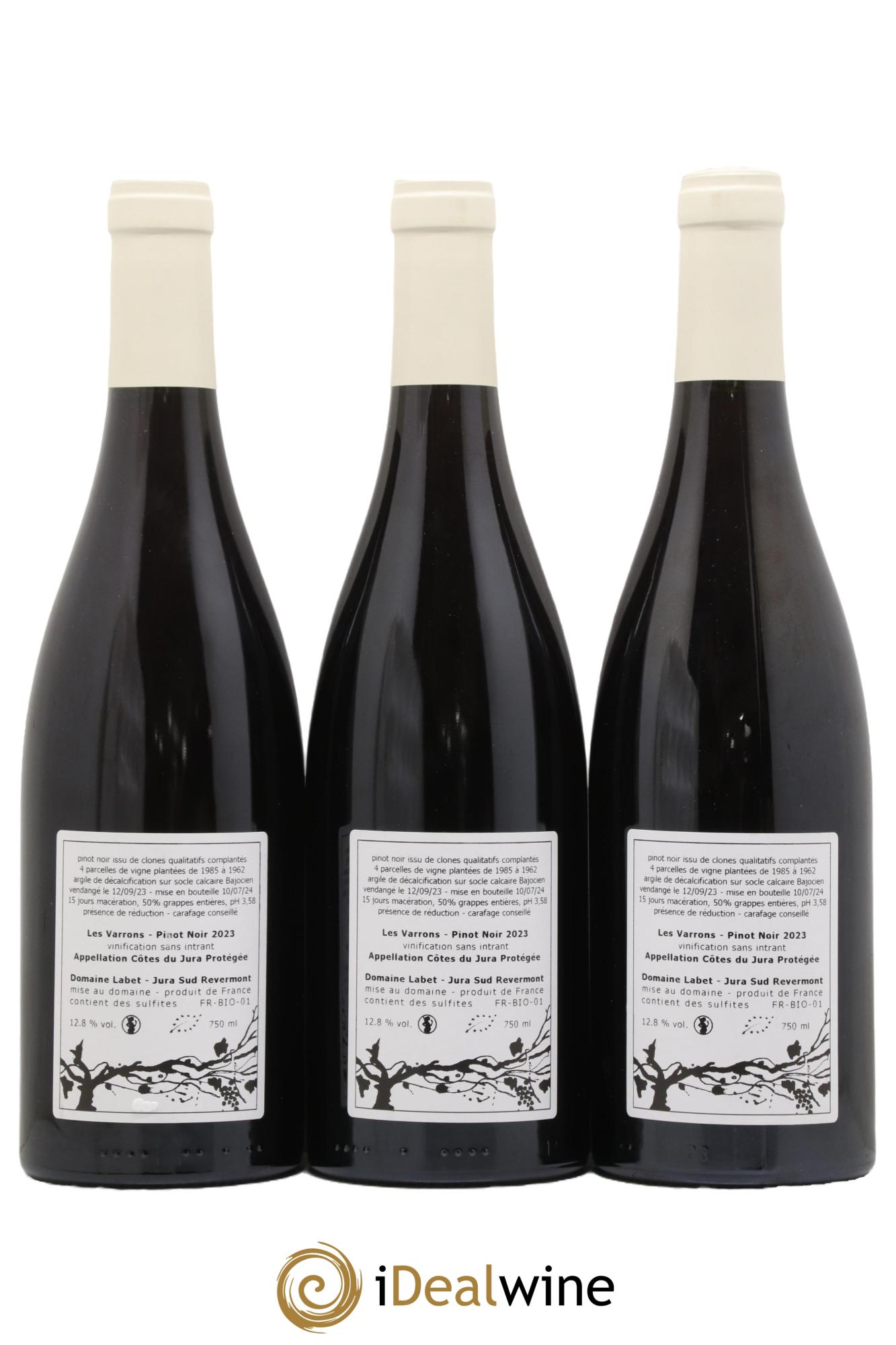 Côtes du Jura Pinot Noir Les Varrons Sélection Massale Romain - Julien - Charline Labet 2023 - Lot de 3 bouteilles - 1