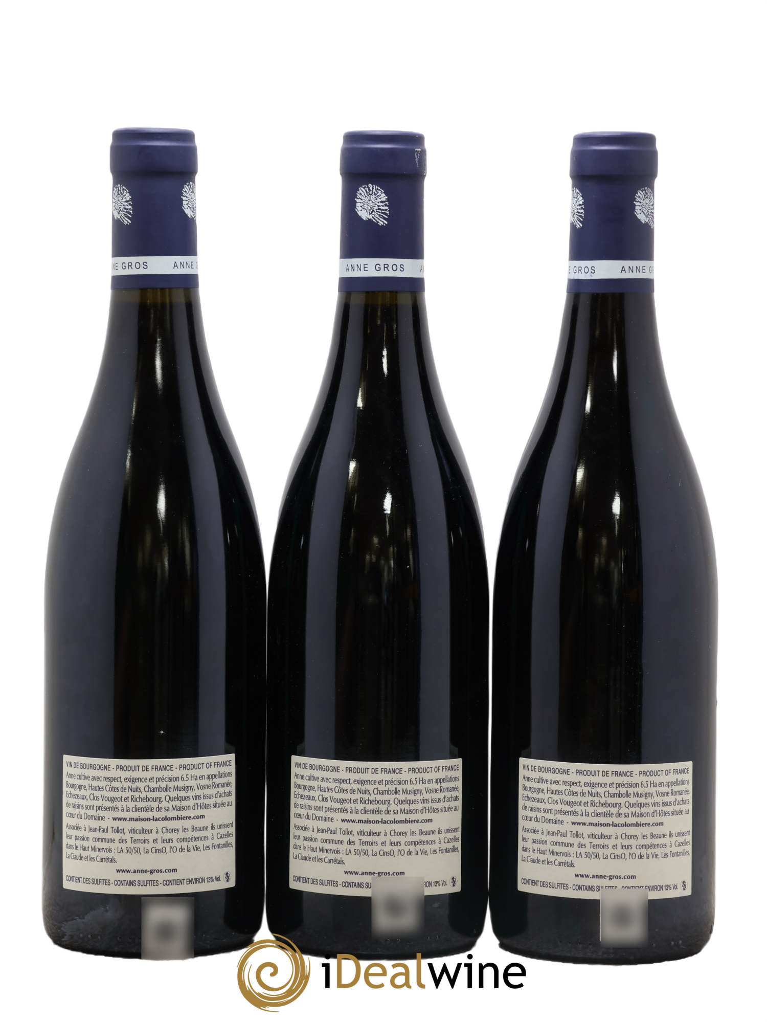 Clos de Vougeot Grand Cru Le Grand Maupertui Anne Gros 2013 - Lot de 3 bouteilles - 1