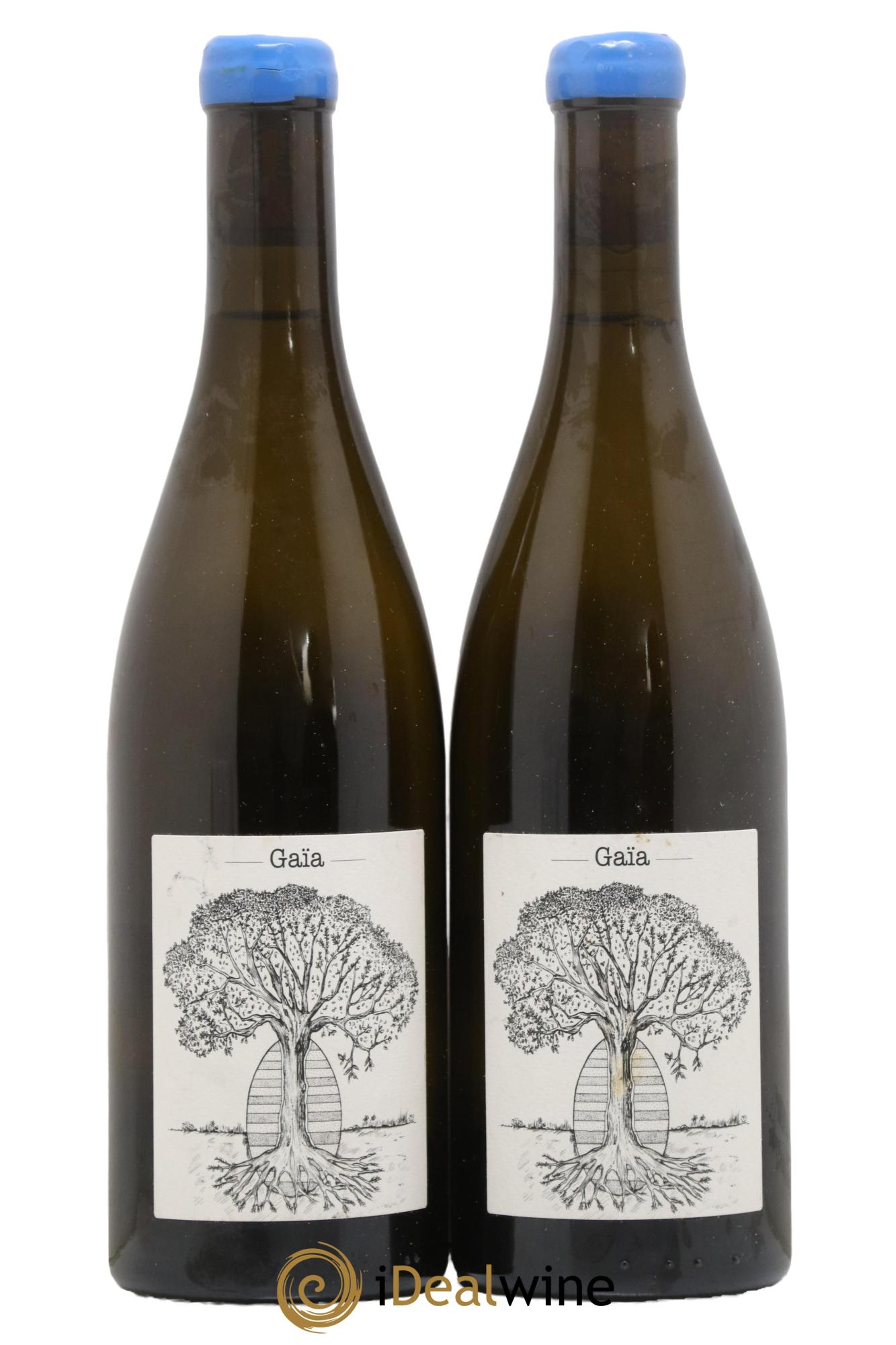 Muscadet-Sèvre-et-Maine Gaia Jérôme Bretaudeau - Domaine de Bellevue 2020 - Lot de 2 bouteilles - 0