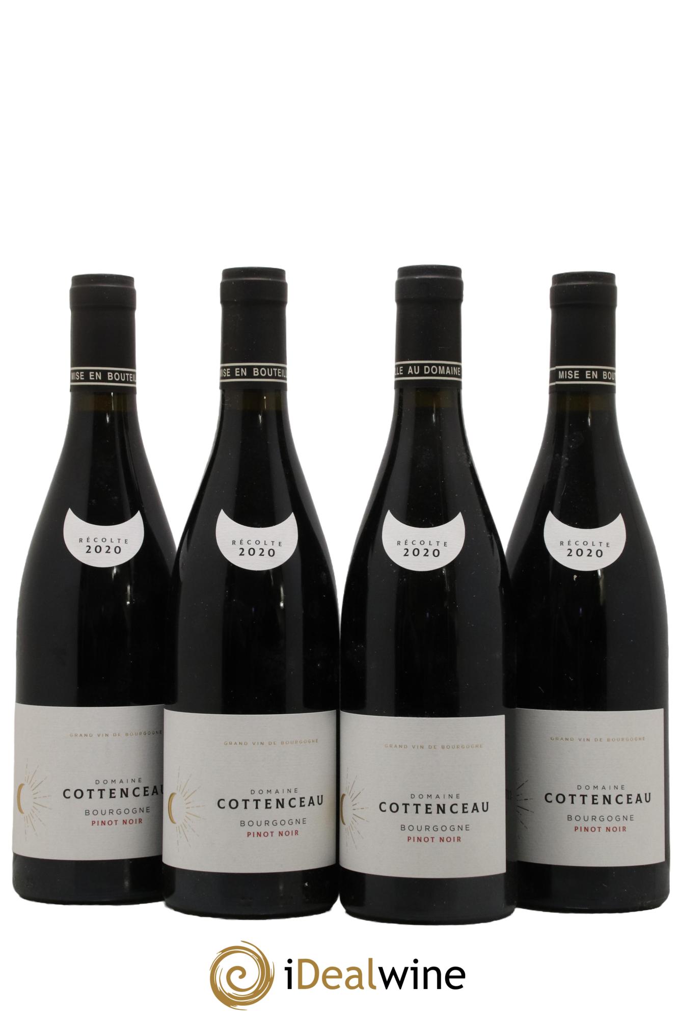 Bourgogne Pinot Noir Maxime Cottenceau 2020 - Lot de 4 bouteilles - 0