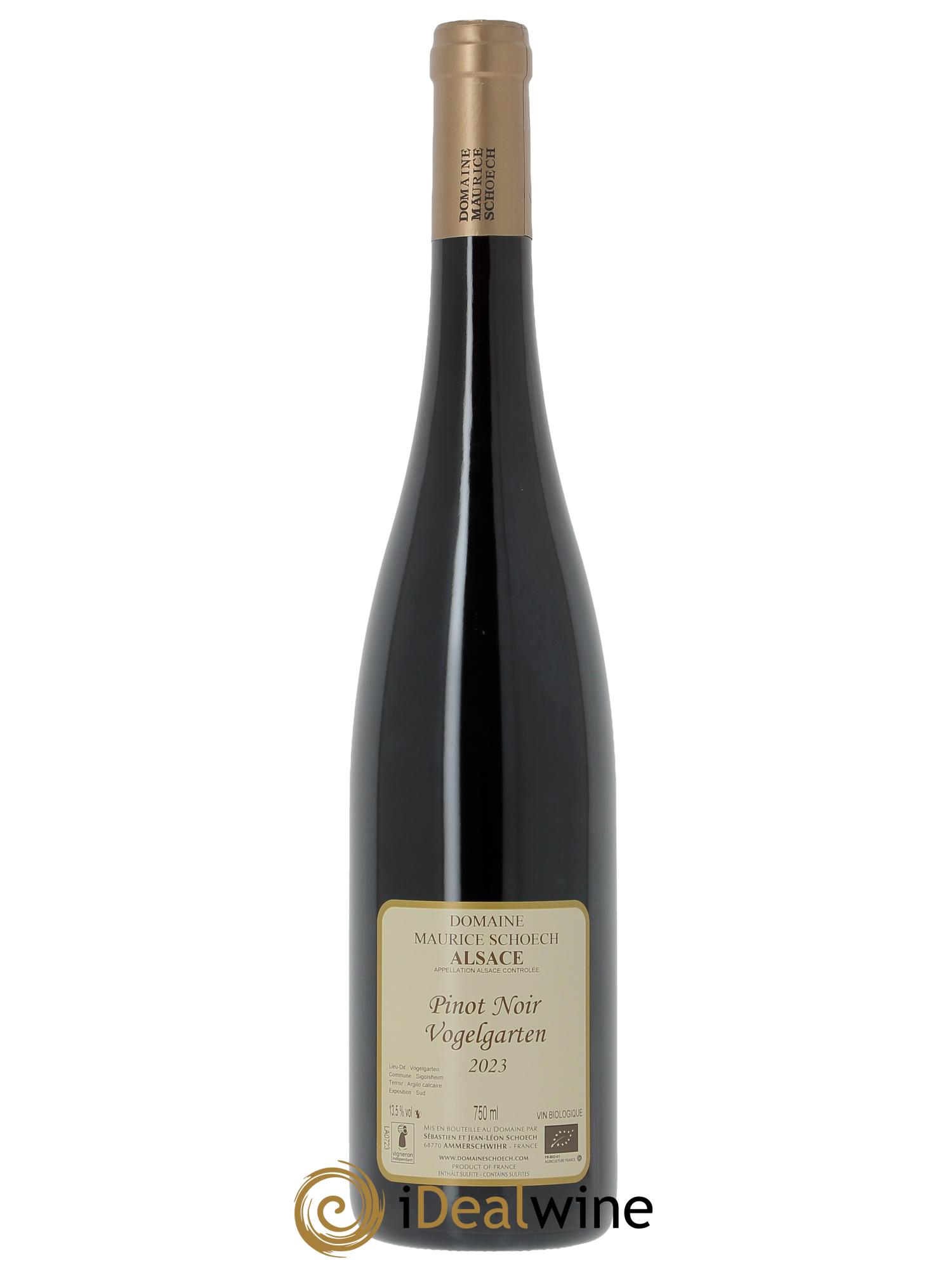 Alsace Pinot Noir Vogelgarten Cuvée Arthur Maurice Schoech (Domaine) 2023 - Lot de 1 bouteille - 1
