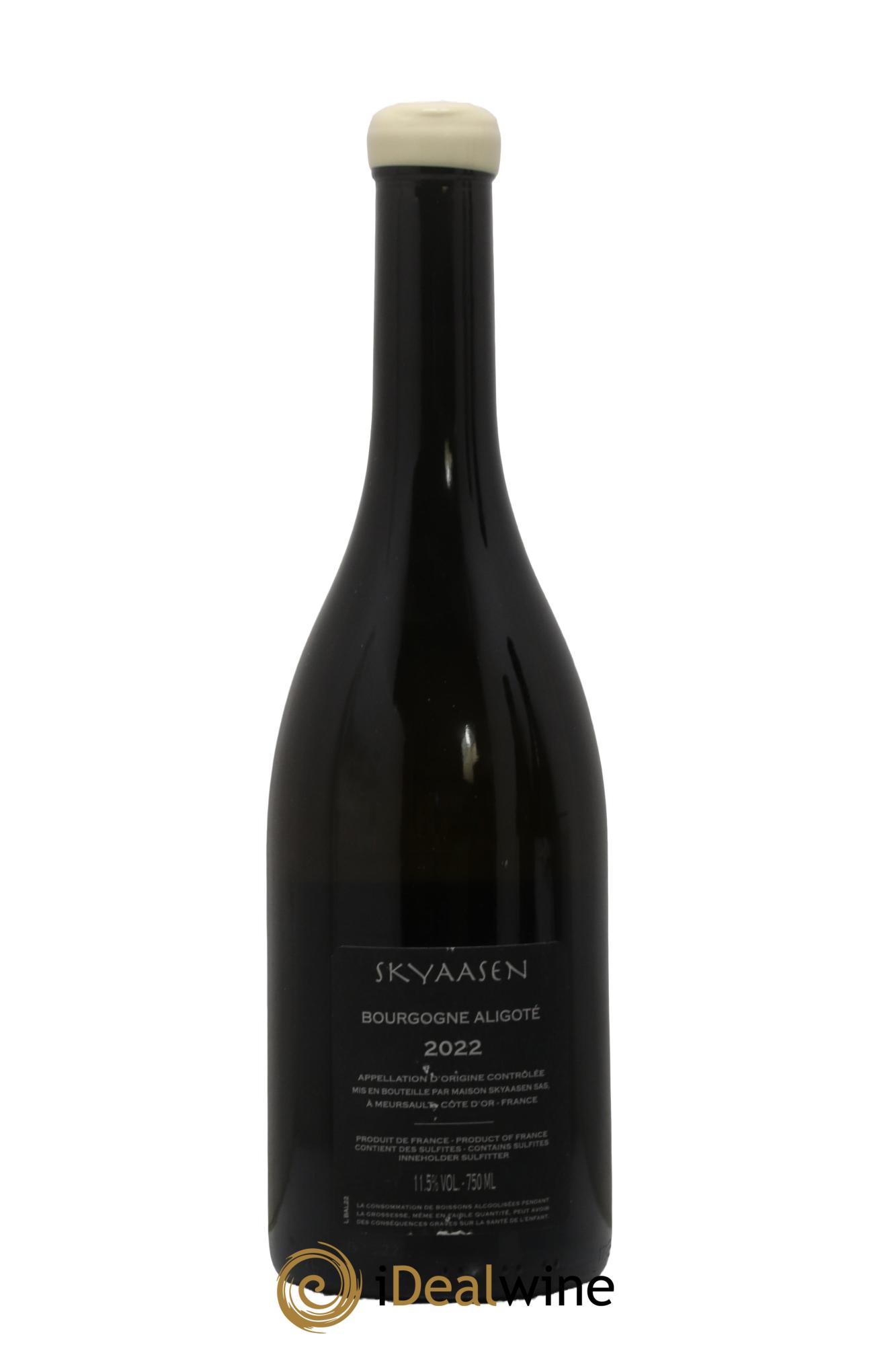 Bourgogne Aligoté Maison Skyaasen 2022 - Lot de 1 bouteille - 1