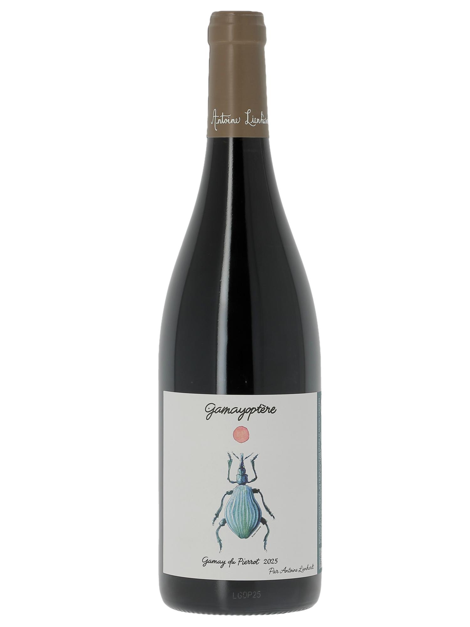 Coteaux Bourguignons Gamayoptère Antoine Lienhardt 2025 - Lote de 1 botella - 0