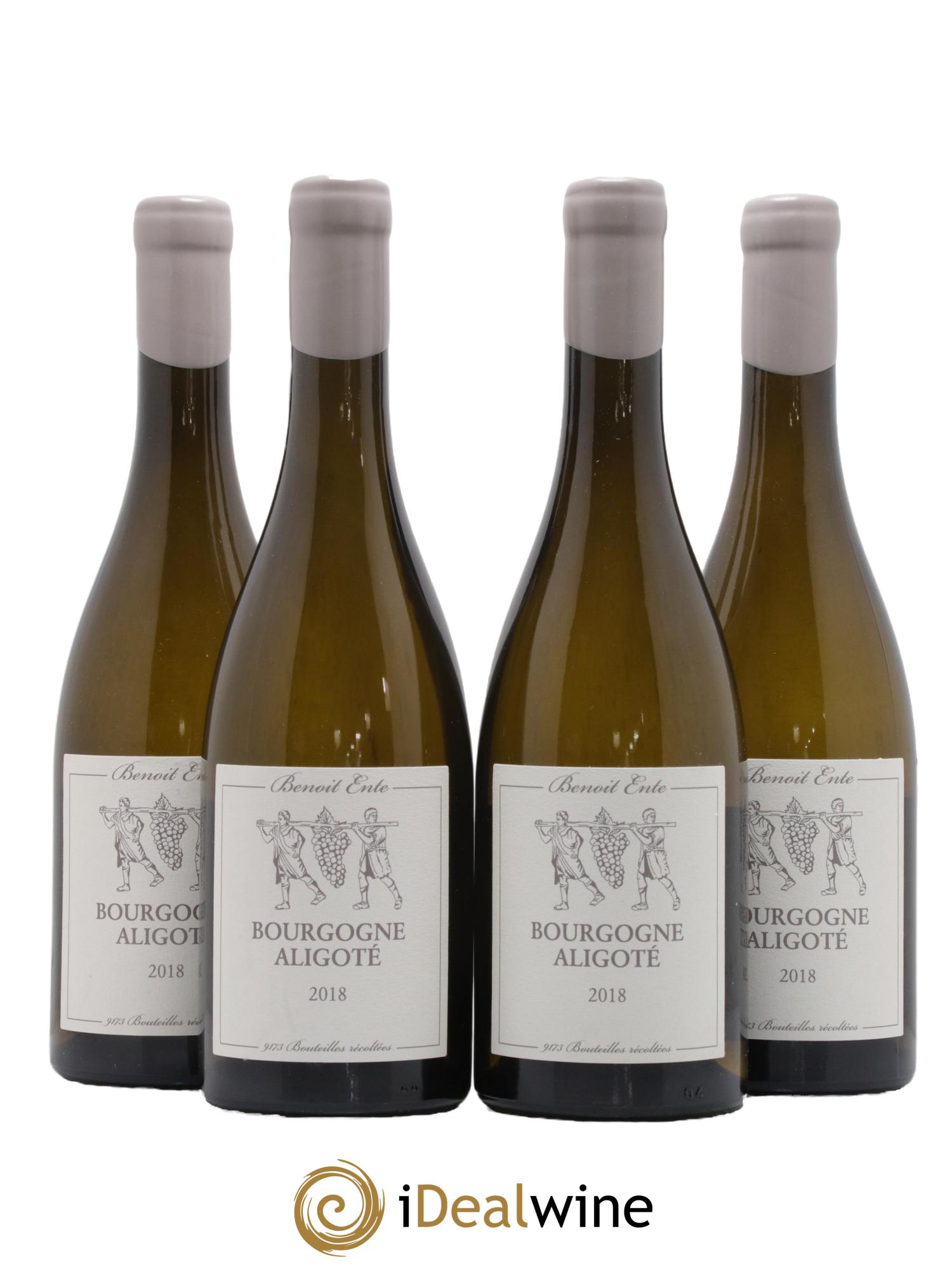 Bourgogne Aligoté Benoit Ente 2018 - Lot de 4 bouteilles - 0