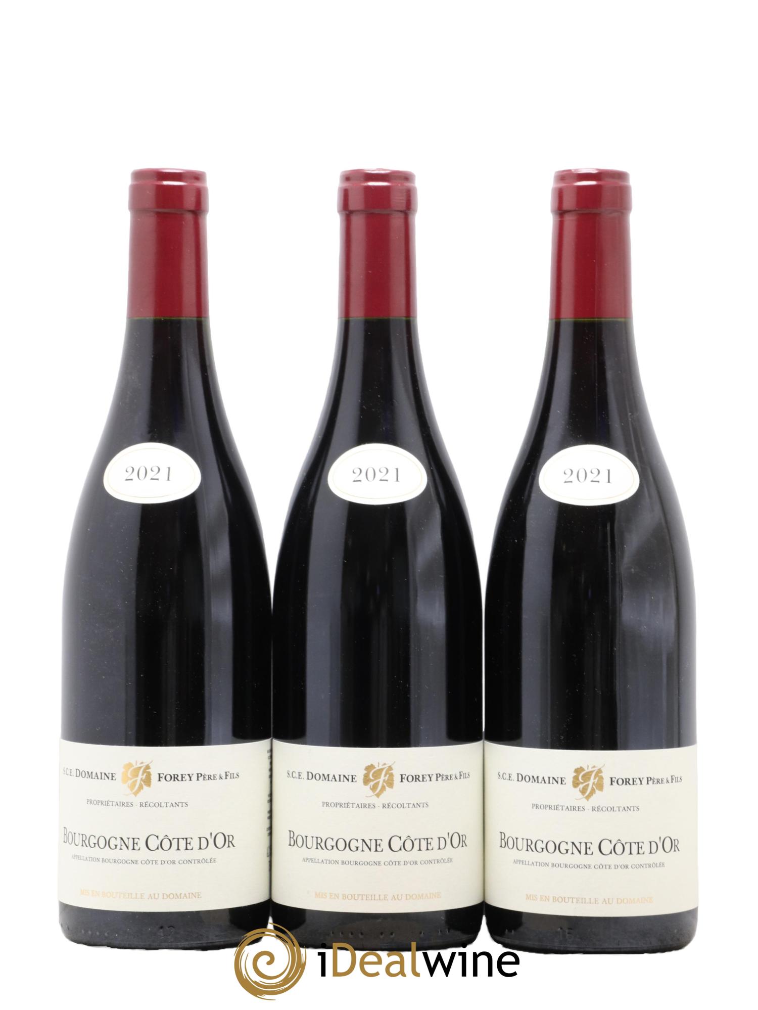 Bourgogne Forey Père et Fils (Domaine) 2021 - Lot de 3 bouteilles - 0