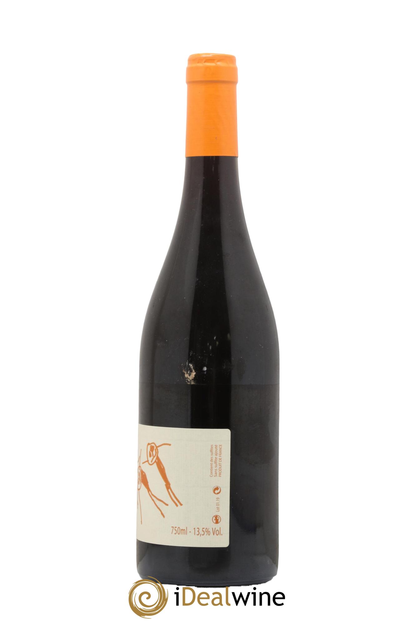 Vin de France Pino Nwar Domaine Vincent et Marie Tricot 2019 - Lot de 1 bouteille - 1