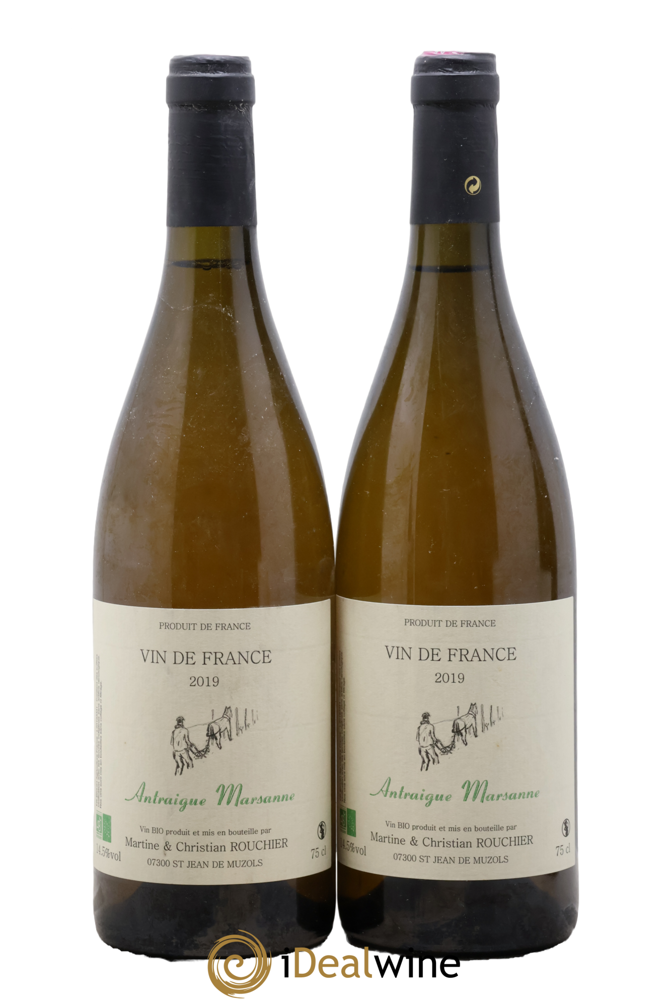 Vin de France Antraigue Marsanne Christian Rouchier 2019 - Lot de 2 bouteilles - 0