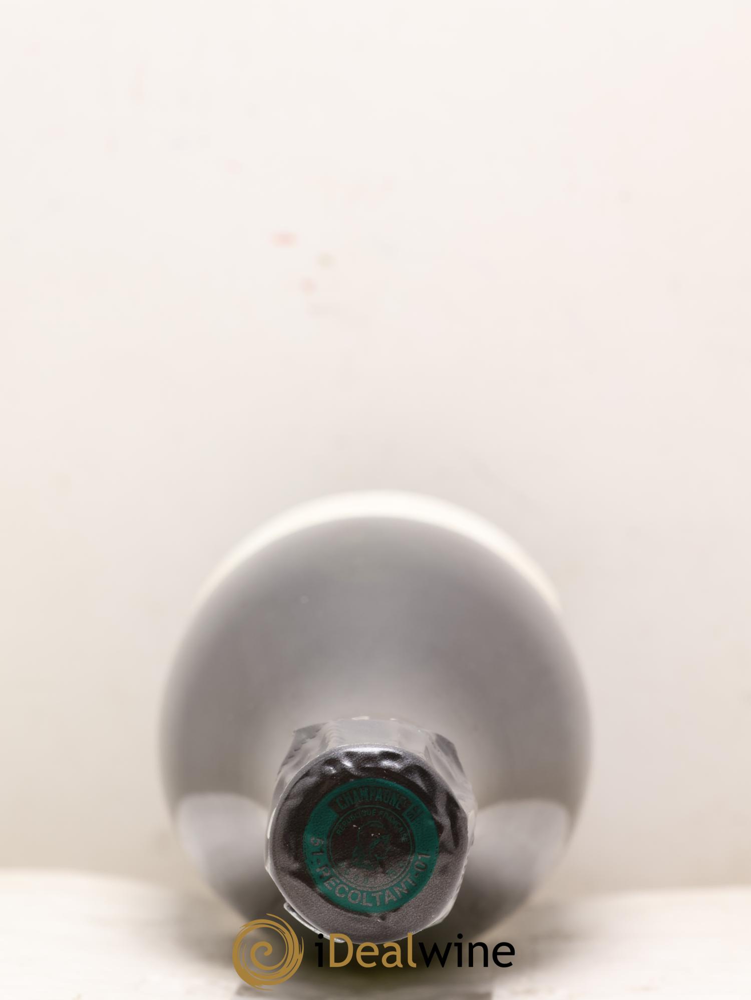 Substance Jacques Selosse - Posten von 2 Flaschen - 2