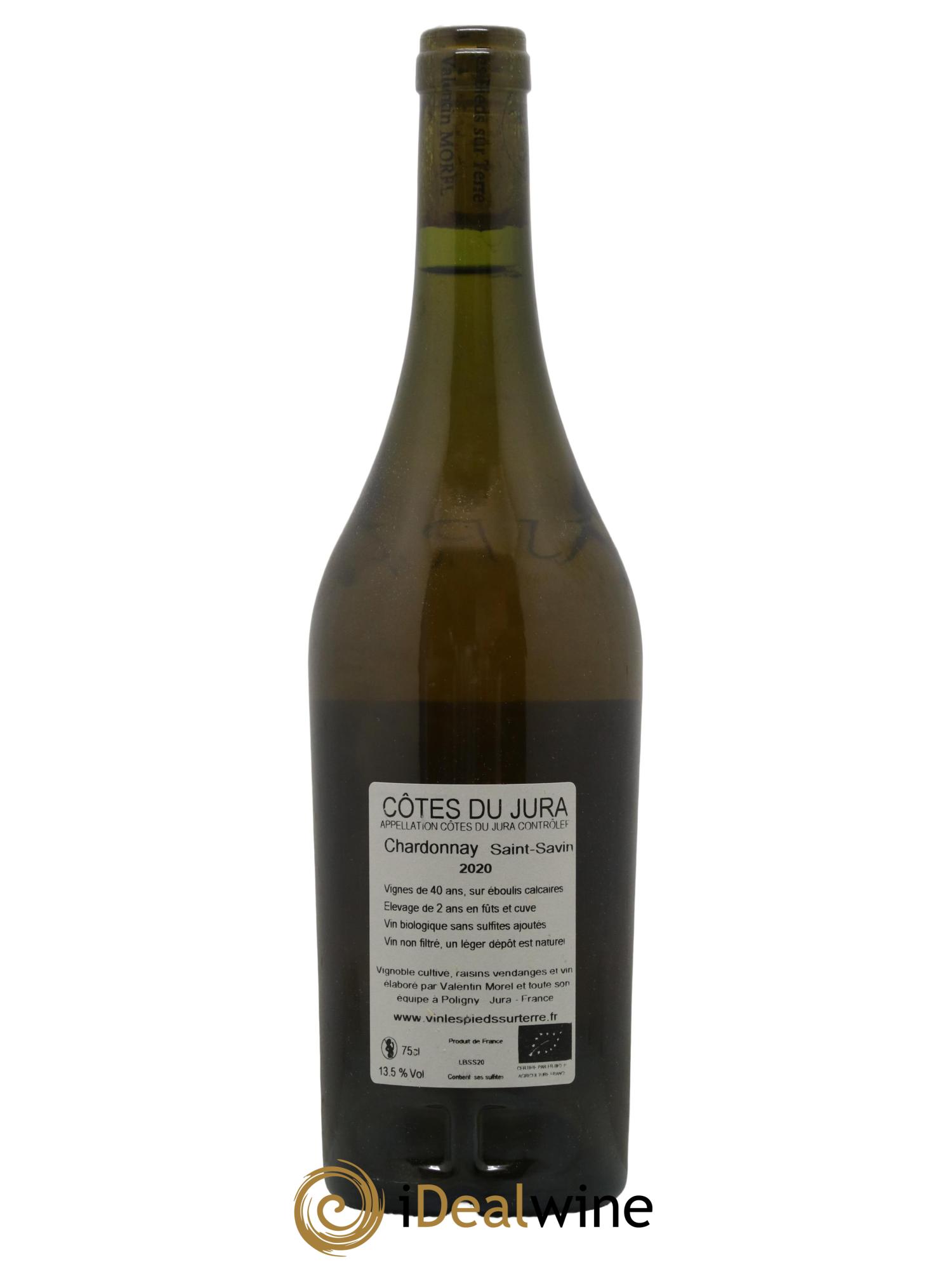 Côtes du Jura Chardonnay Saint-Savin Valentin Morel 2020 - Lot de 1 bouteille - 1