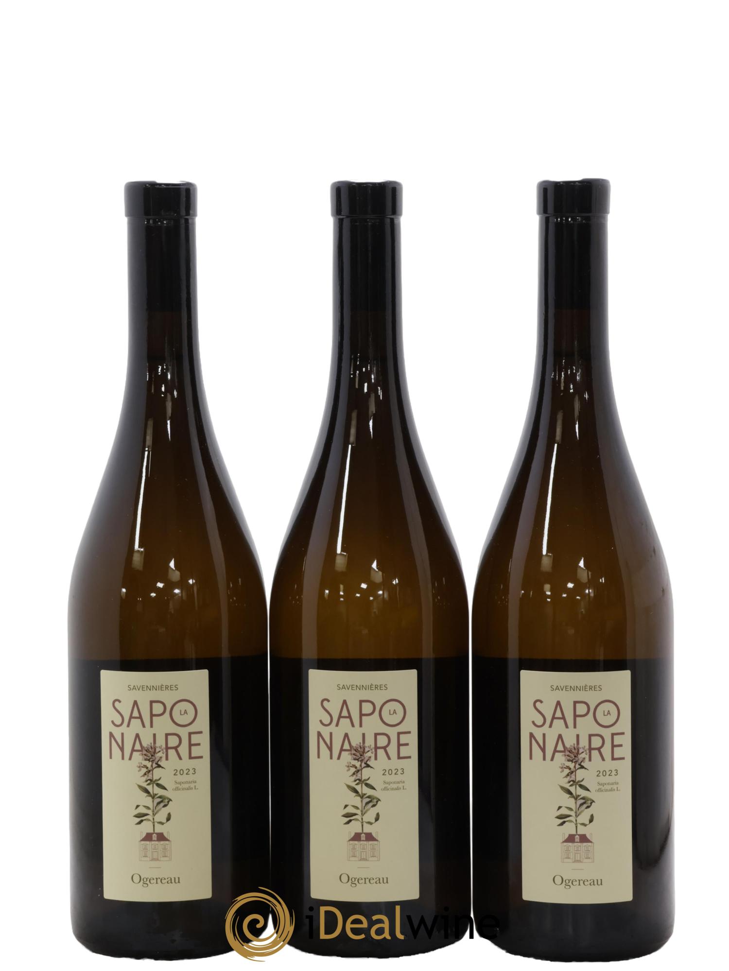 Savennières La Saponaire Domaine Ogereau 2023 - Lot de 3 bouteilles - 0