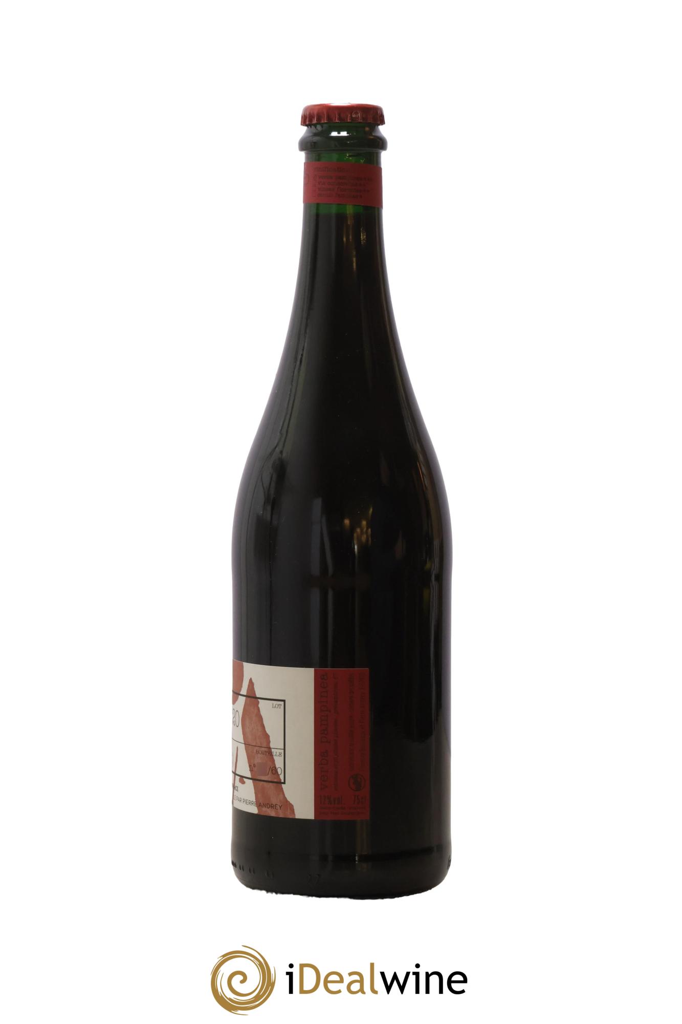 Vin de France Verba Pampinea Pinot Noir Florence Bouleaux et Pierre Andrey 2019 - Lotto di 1 bottiglia - 1