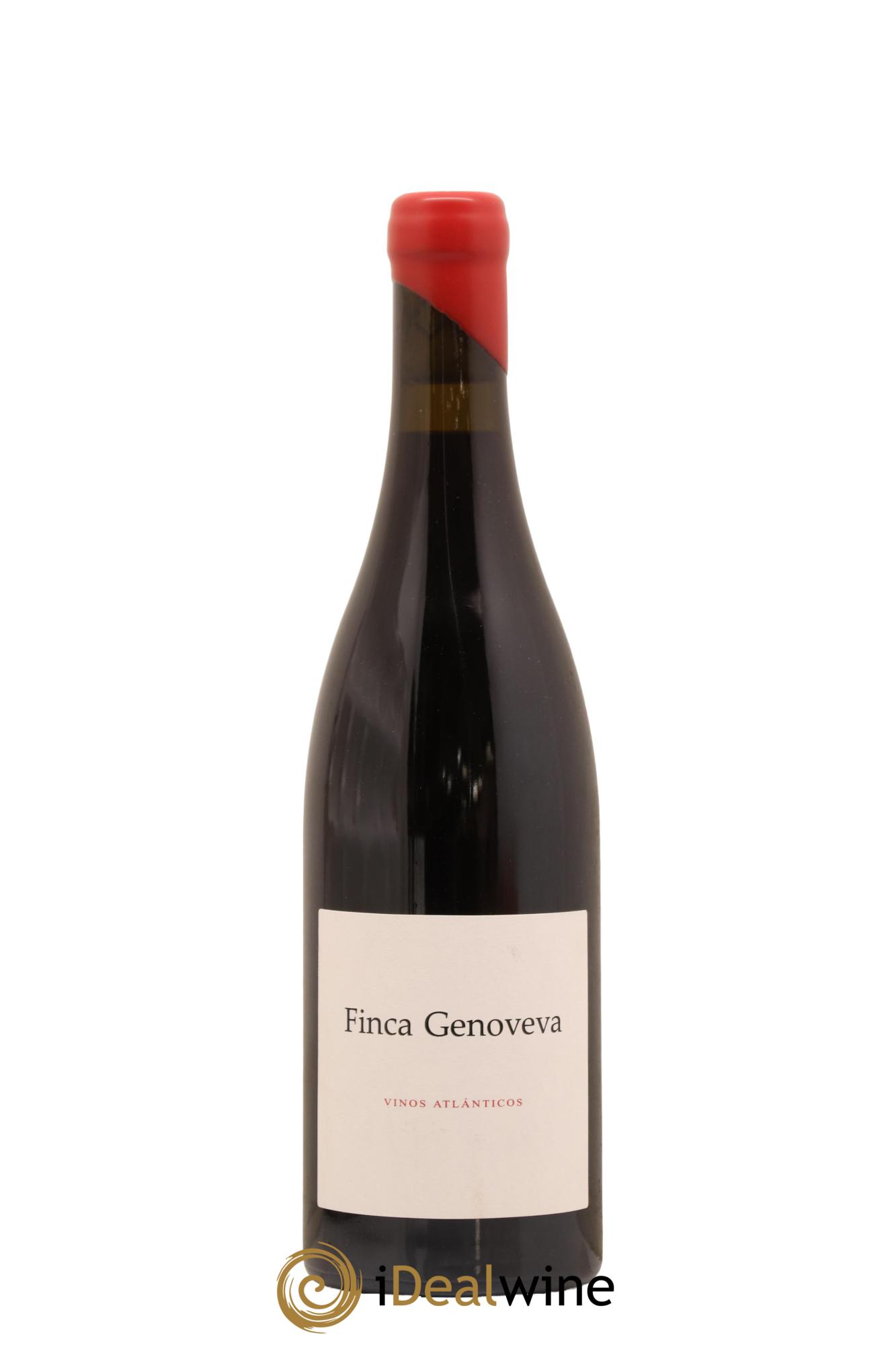 Espagne Rias Baixas Finca Genovena Caino Tinto del Salnes 2019 - Lot de 1 bouteille - 0