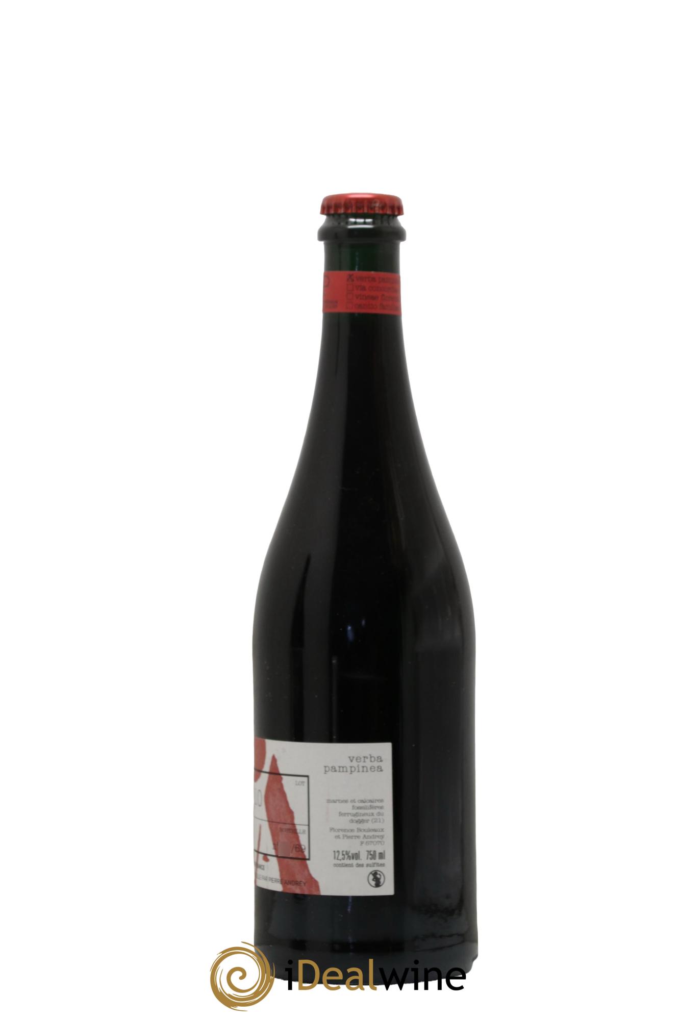 Vin de France Verba Pampinea Pinot Noir Florence Bouleaux et Pierre Andrey DJ10 2020 - Lot de 1 bouteille - 1