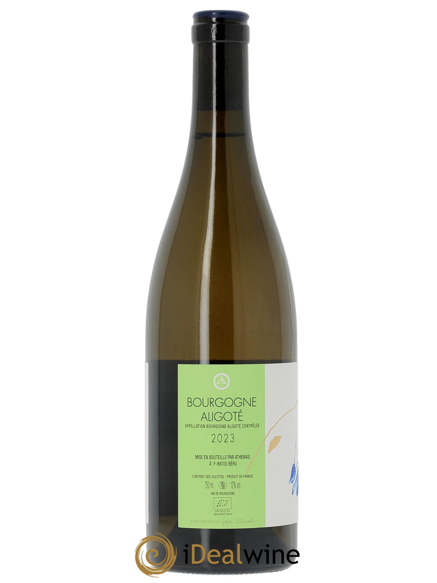 Bourgogne Aligoté Château de Béru  2023 - Lotto di 1 bottiglia - 1