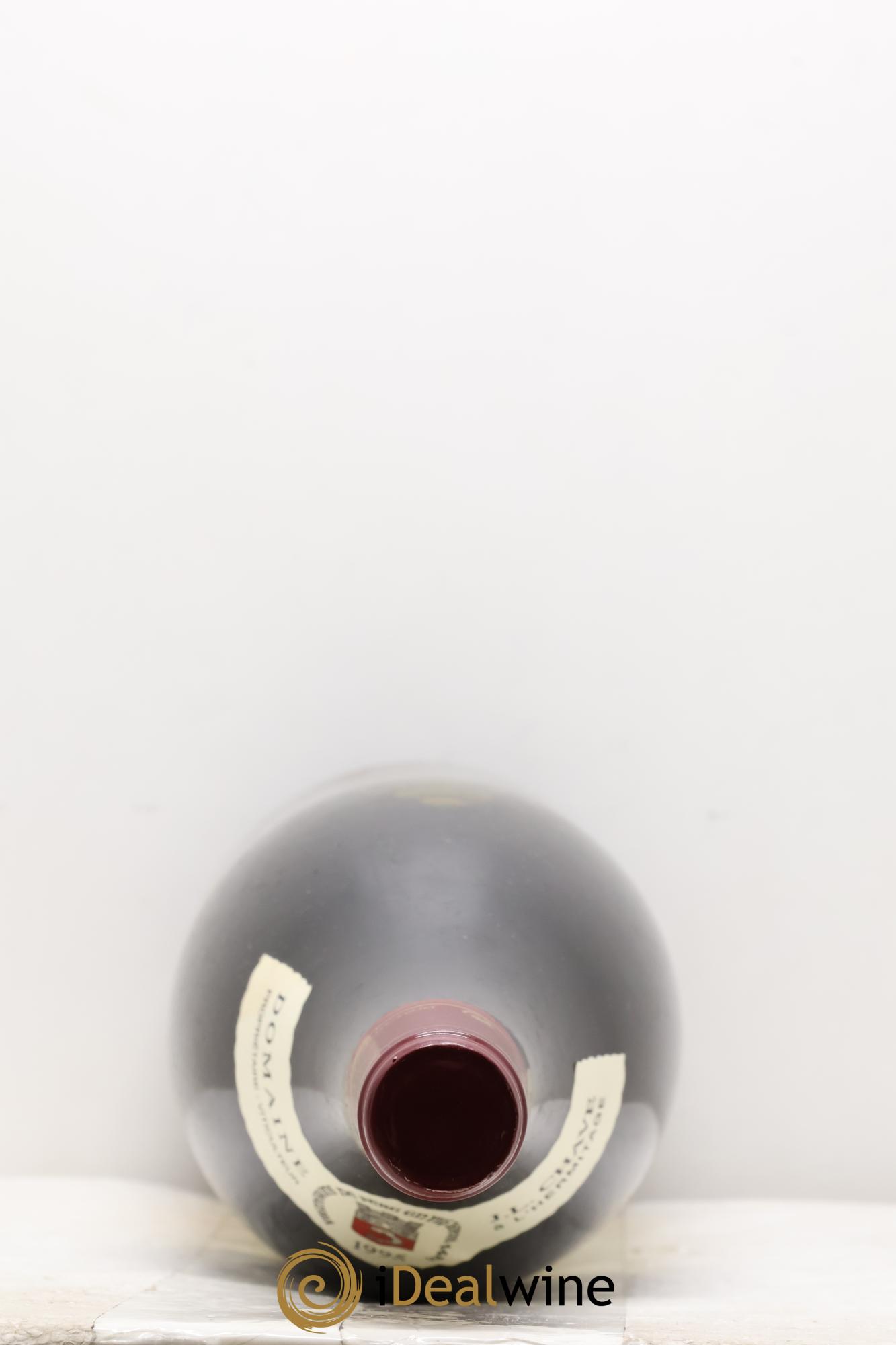 Hermitage Jean-Louis Chave 1995 - Posten von 1 Magnum - 1