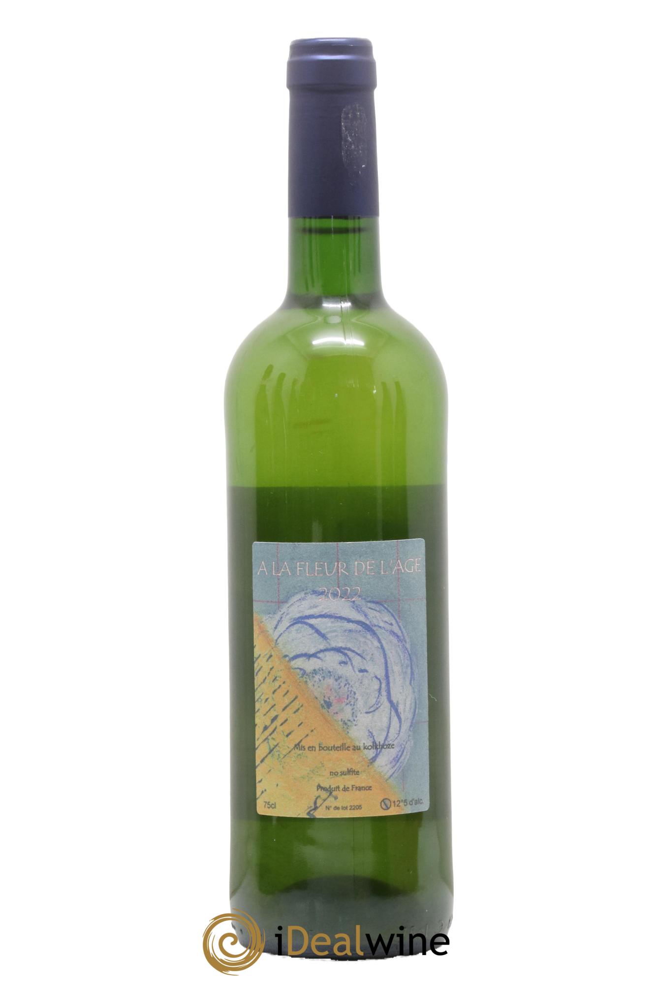 Vin de France La Fleur de L'Age Alain Castex 2022 - Lot de 1 bouteille - 1