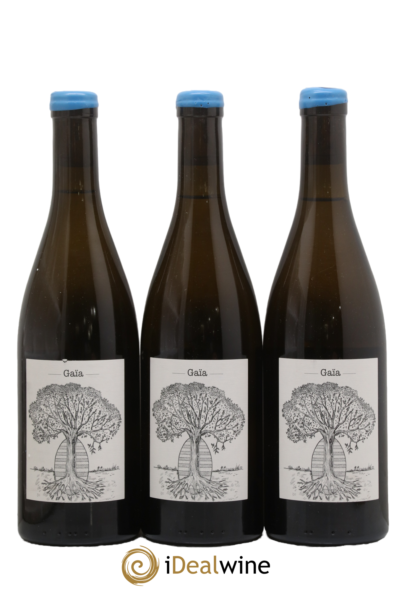 Muscadet-Sèvre-et-Maine Gaia Jérôme Bretaudeau - Domaine de Bellevue 2016 - Posten von 3 Flaschen - 0