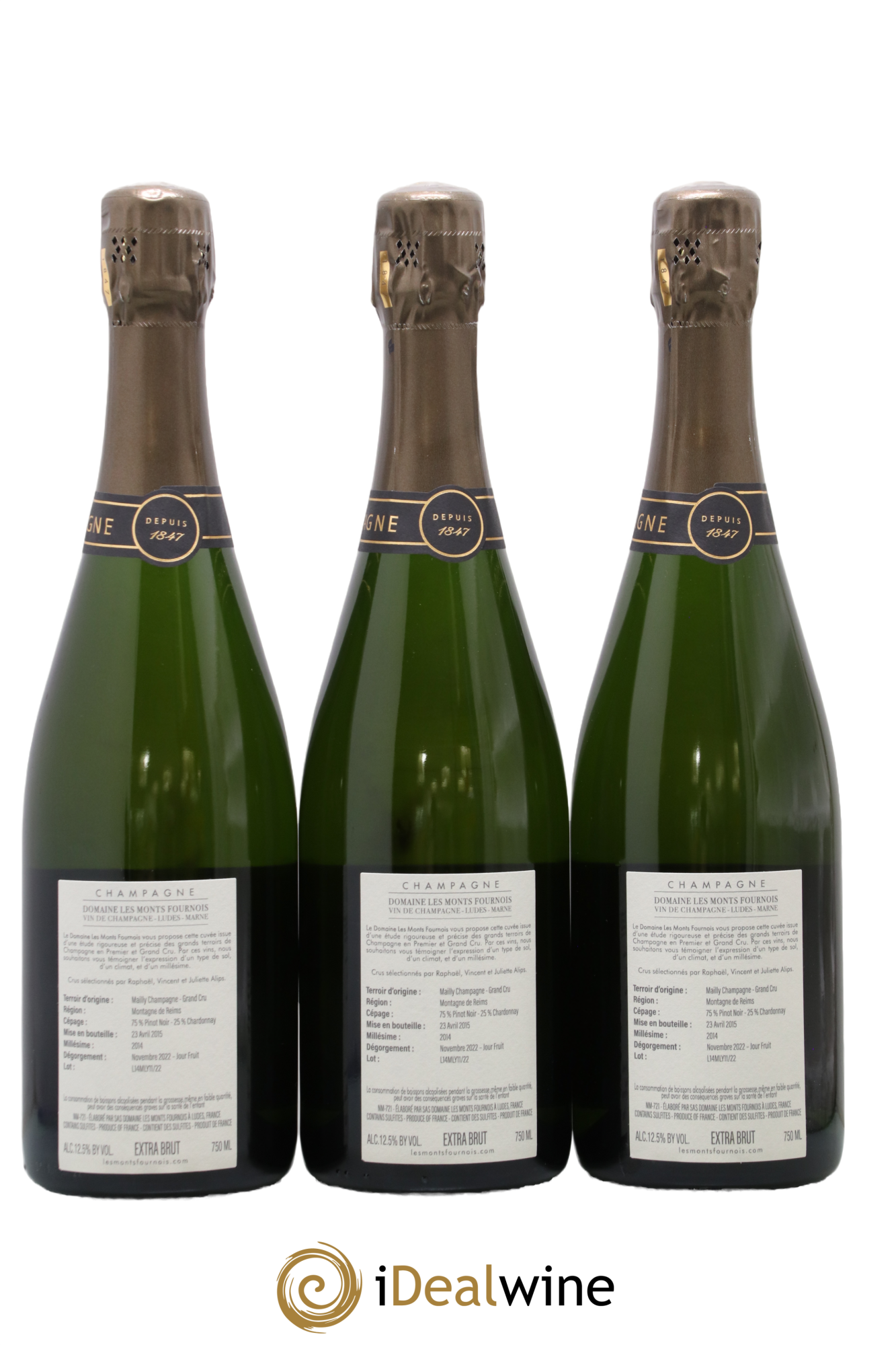 Montagne Verzenay Grand Cru Les Monts Fournois (Domaine) 2014 - Lot de 3 bouteilles - 1