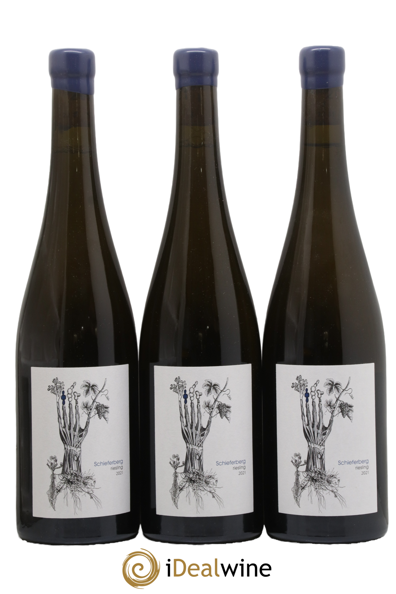 Alsace Riesling Schieferberg Soil Therapy 2021 - Lot de 3 bouteilles - 0