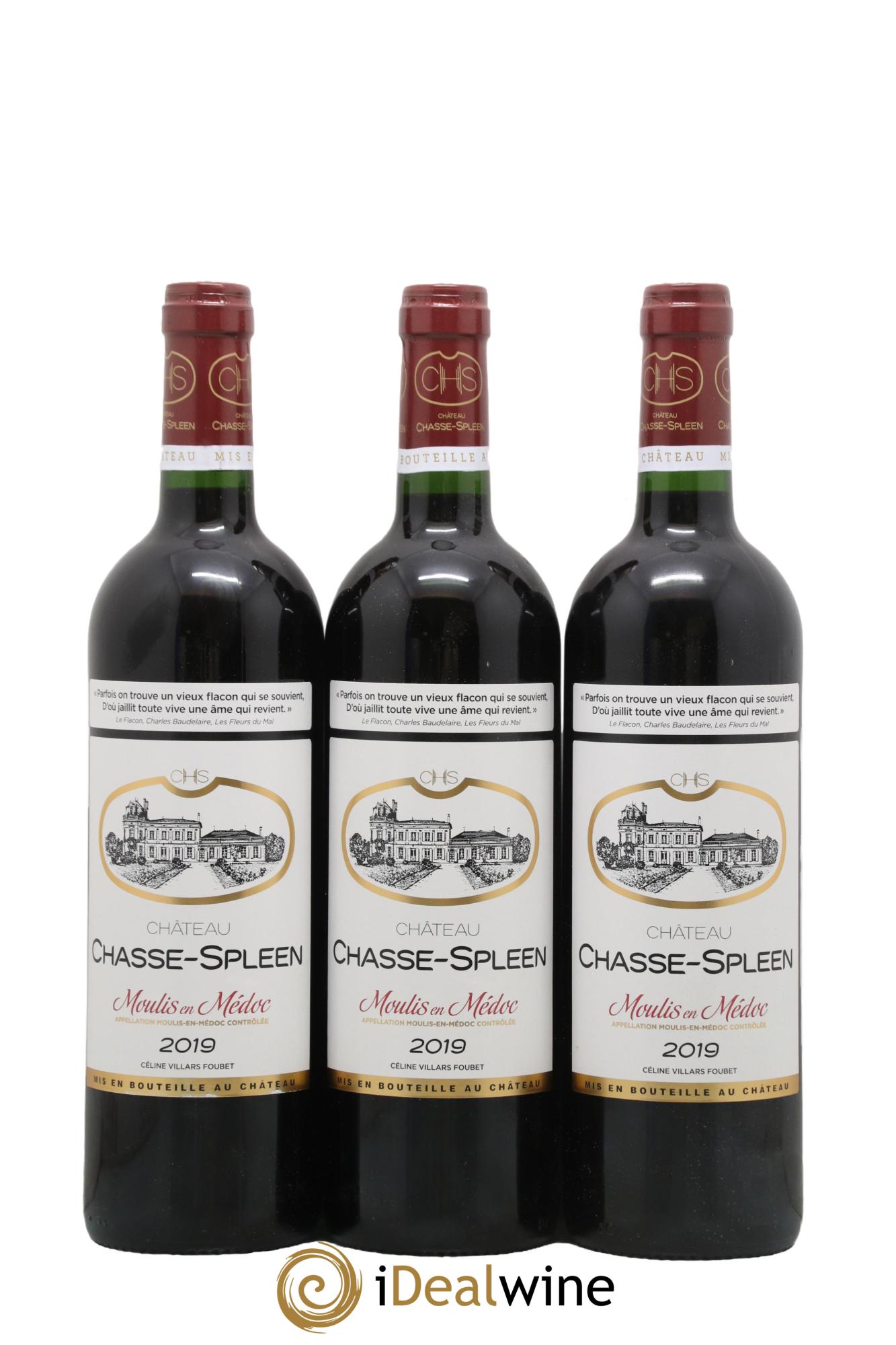 Château Chasse Spleen 2019 - Lot de 12 bouteilles - 4