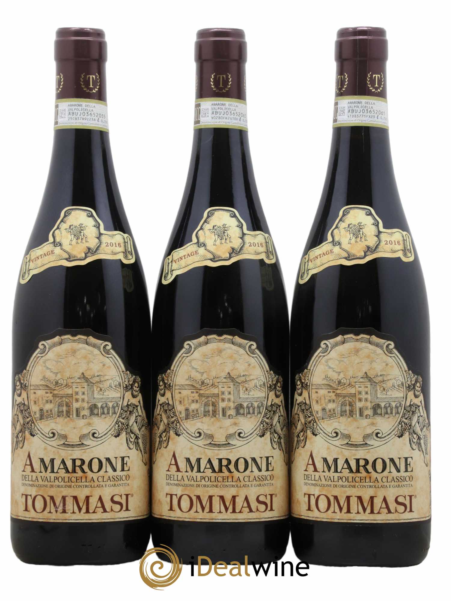 Amarone della Valpolicella DOC 2016 - Lotto di 3 bottiglie - 0
