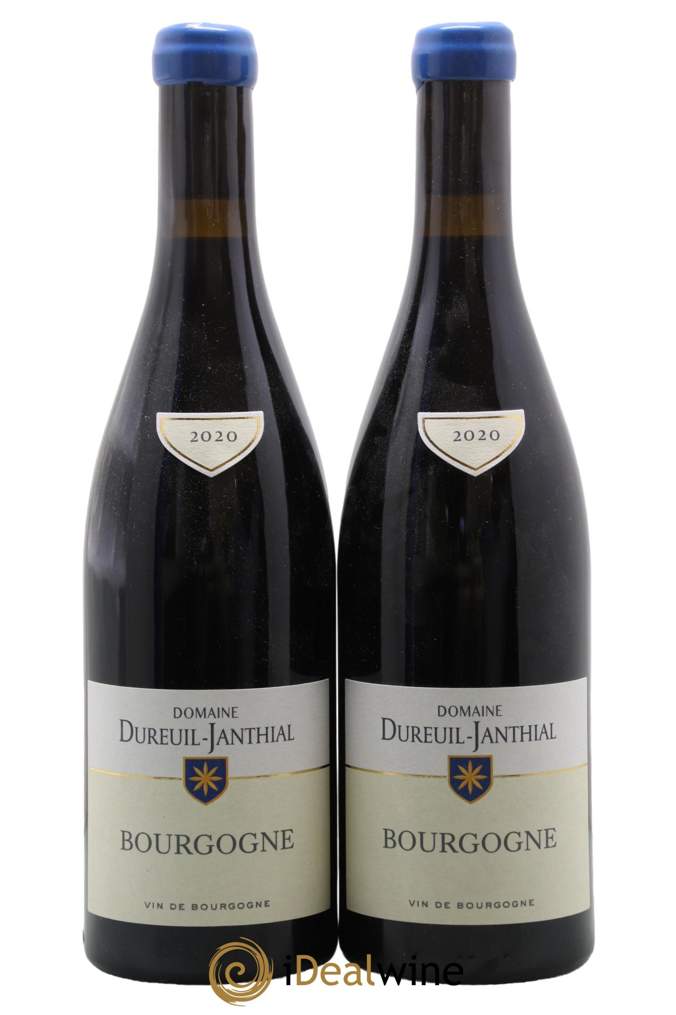 Bourgogne Pinot Noir Vincent Dureuil-Janthial 2020 - Lot de 2 bouteilles - 0
