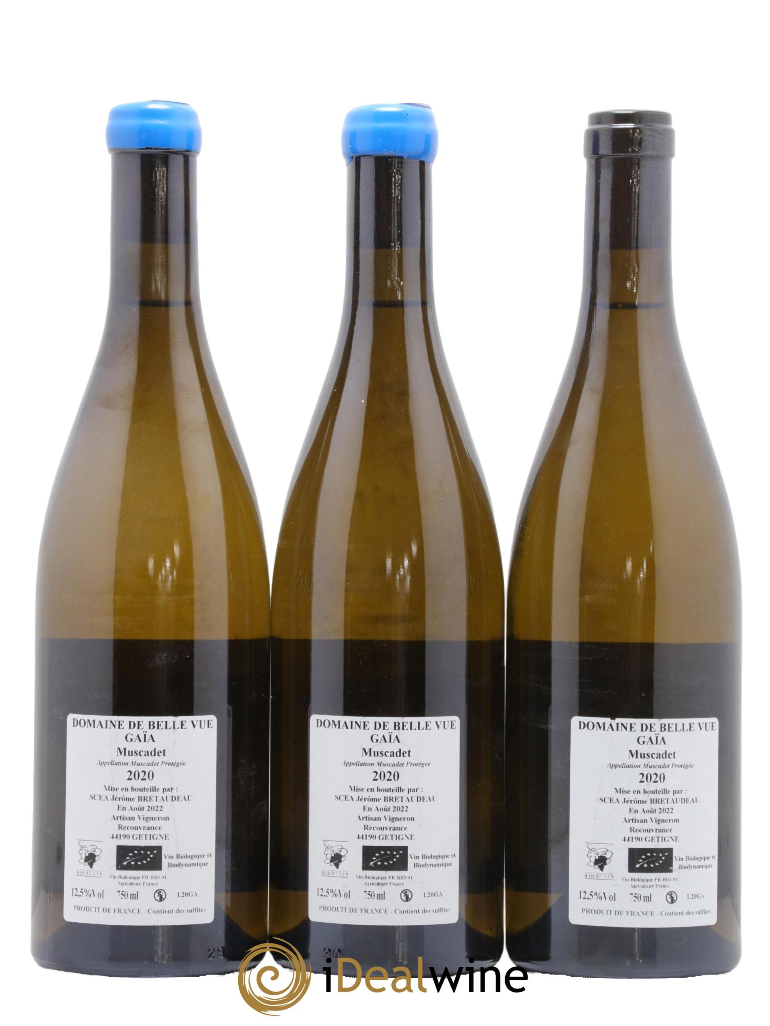 Muscadet-Sèvre-et-Maine Gaia Jérôme Bretaudeau - Domaine de Bellevue 2020 - Lotto di 3 bottiglie - 1